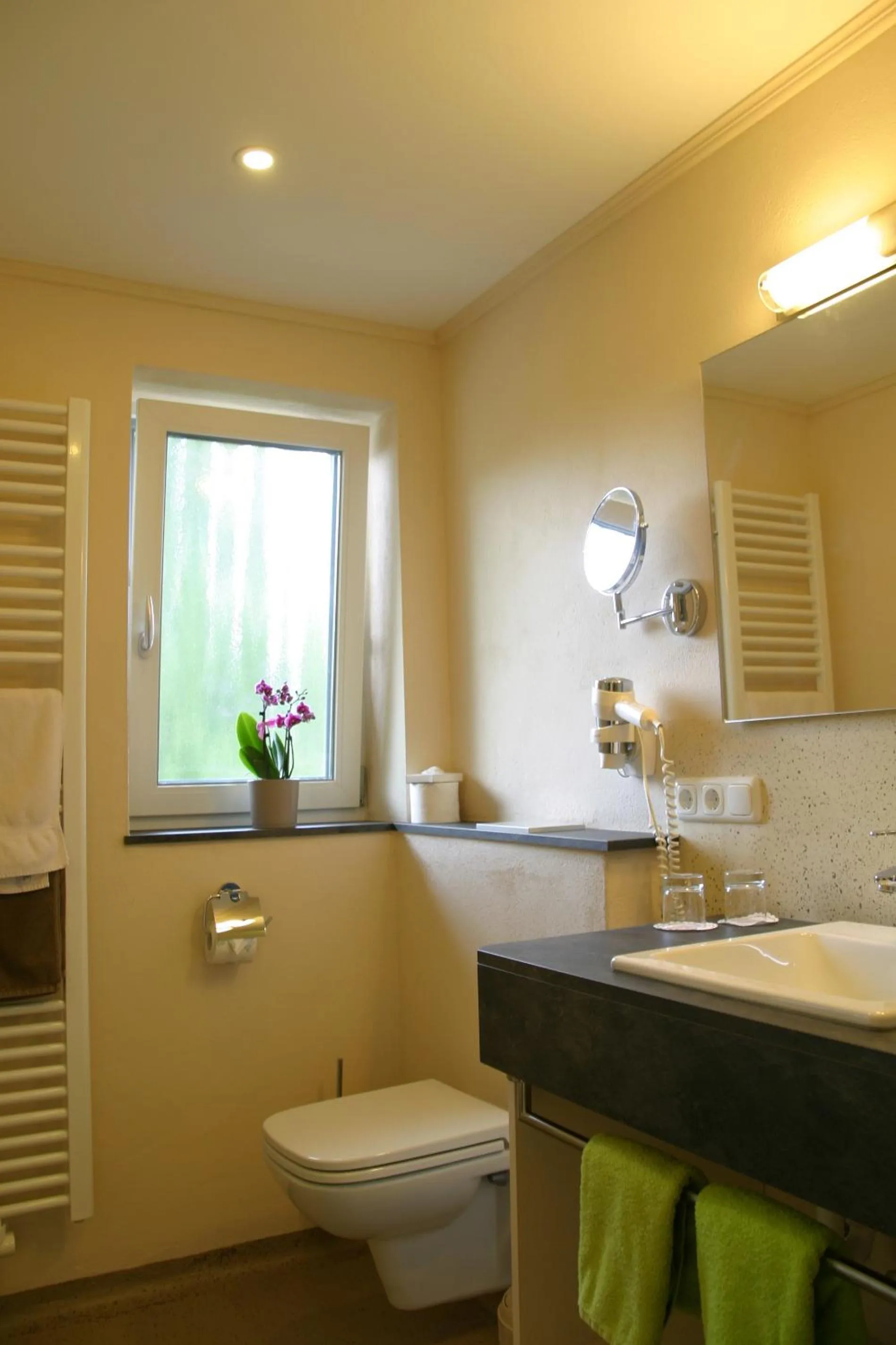 Toilet in Hotel-Restaurant Bellevue