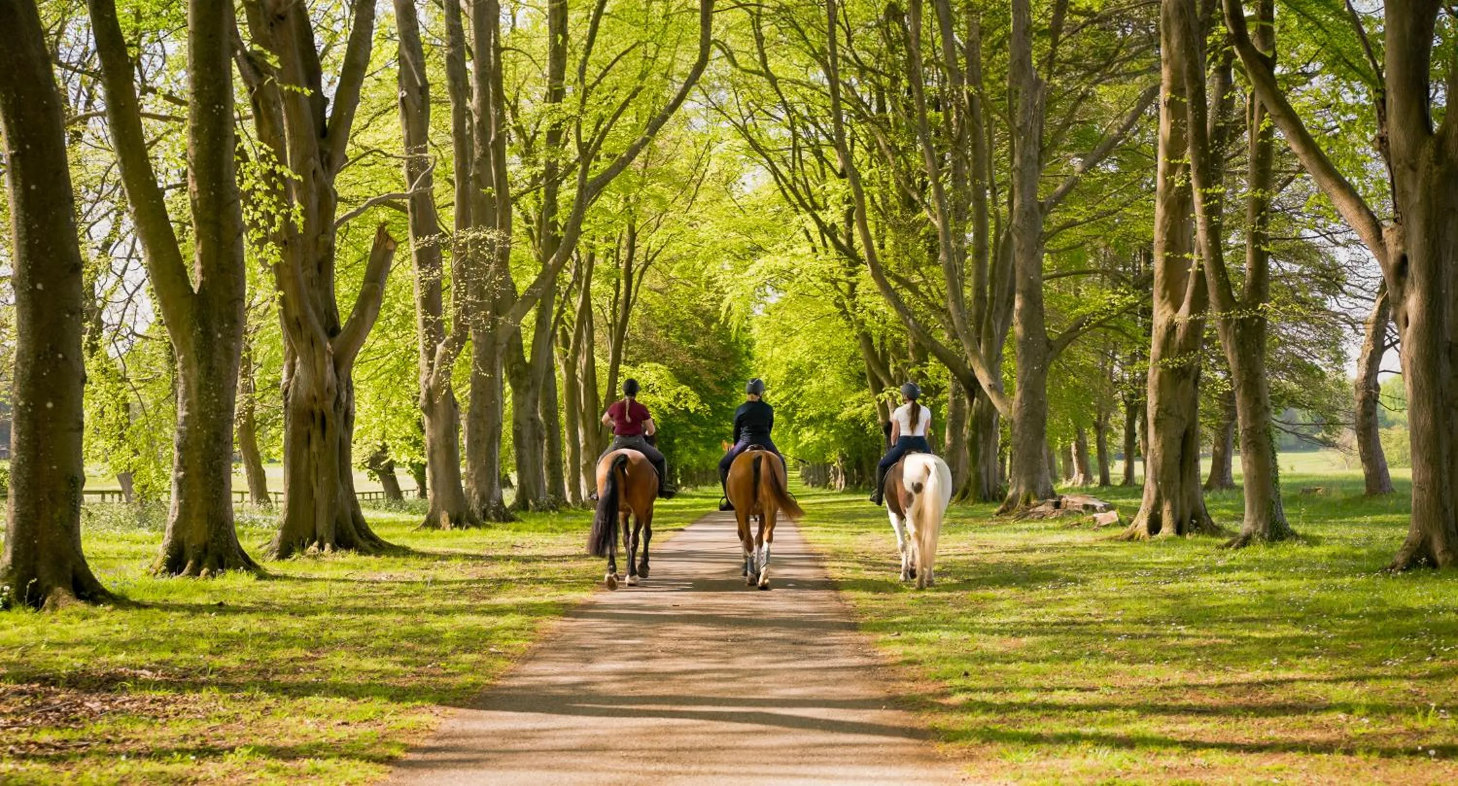 Horse-riding in Lucknam Park, Emblems Collection