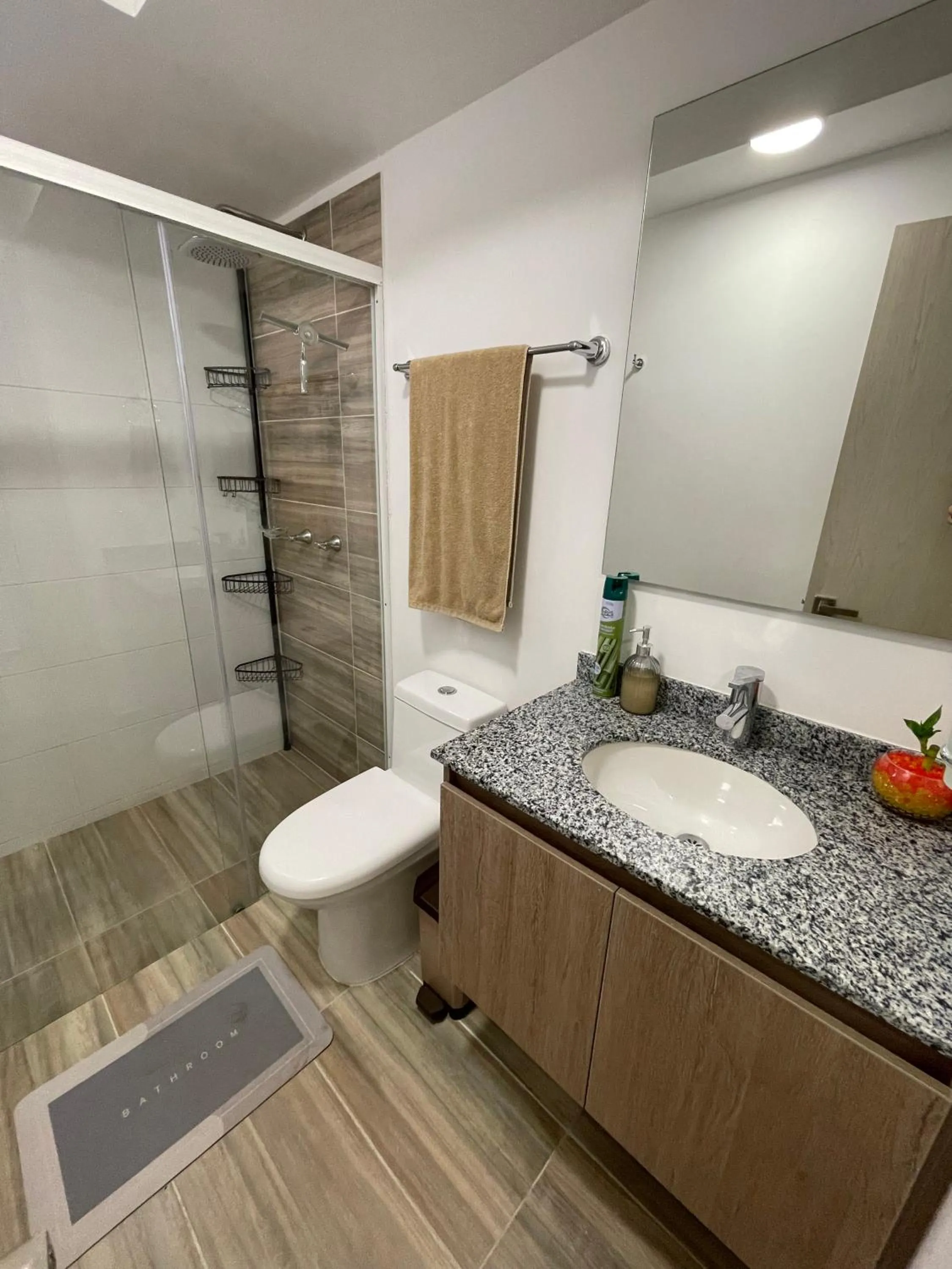 Shower in Acogedor apartamento cerca de clínica en F/blanca