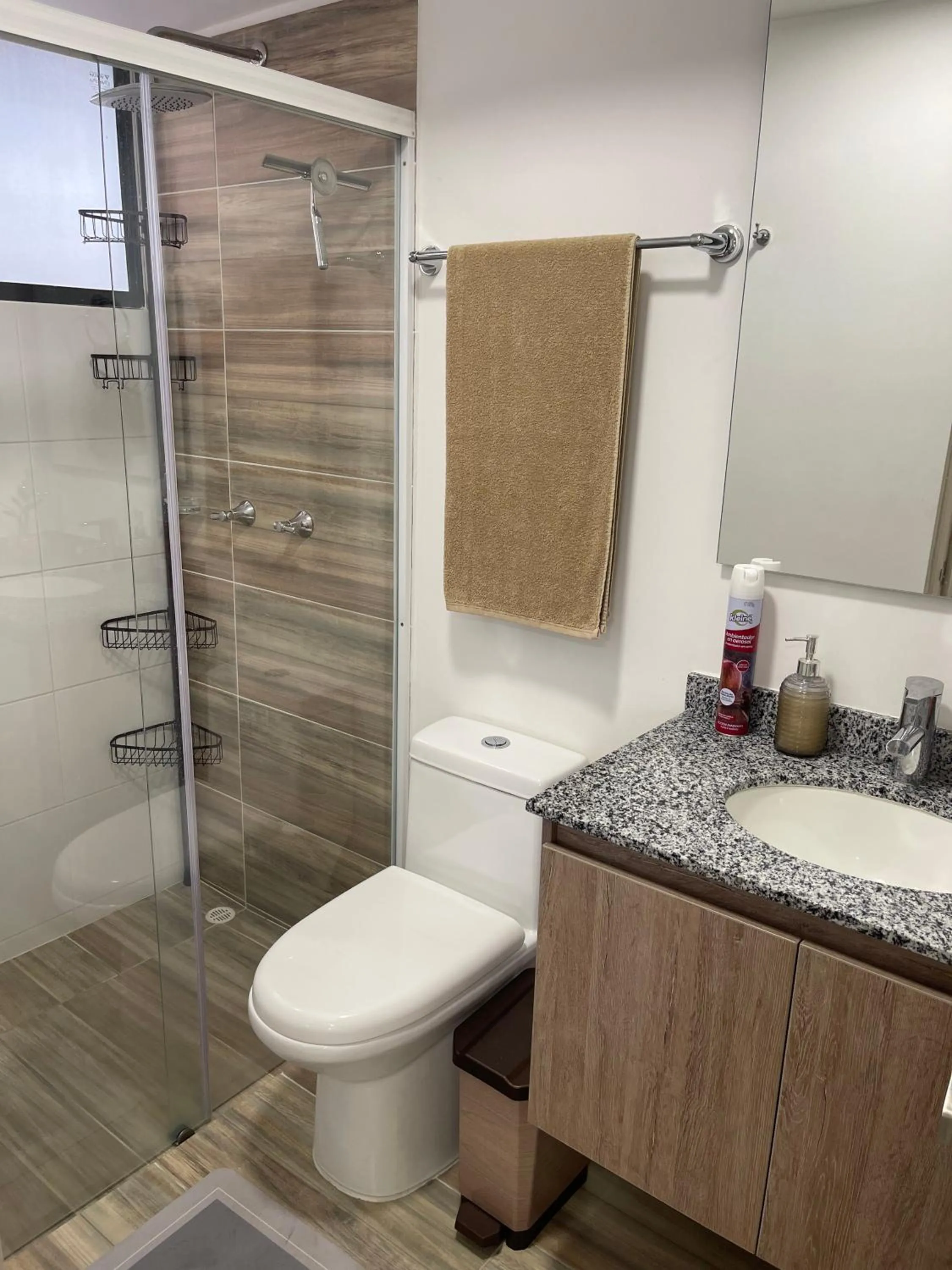 Shower in Acogedor apartamento cerca de clínica en F/blanca