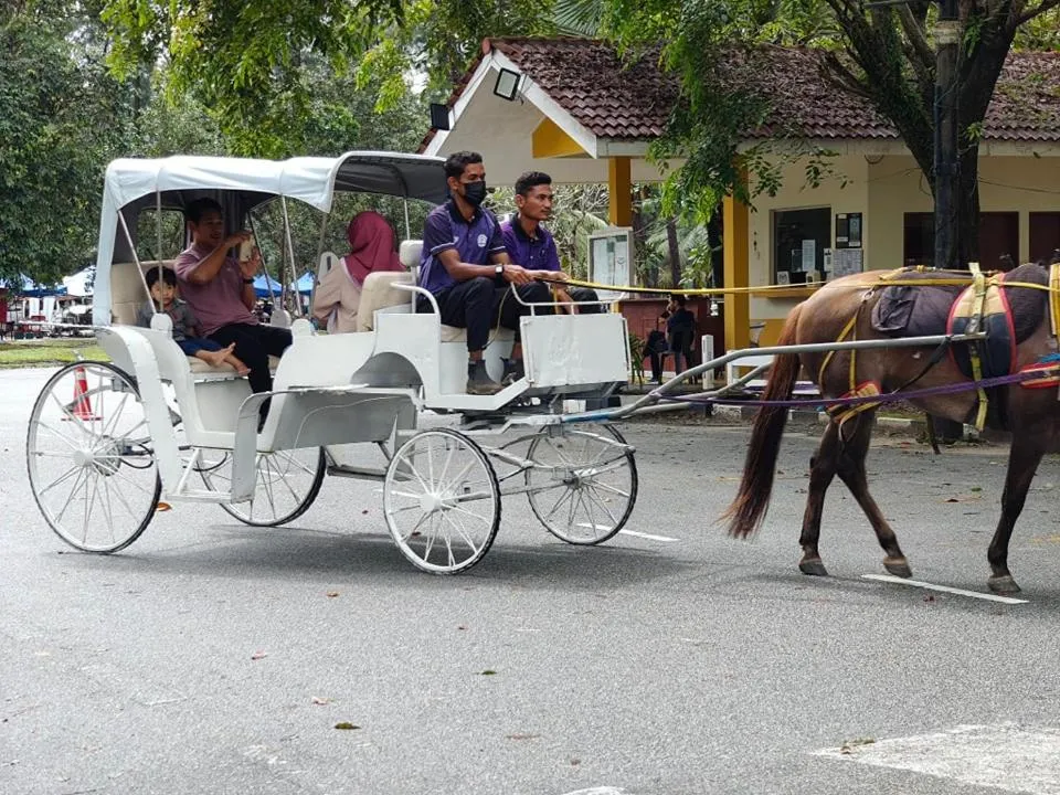 Horse-riding in TERENGGANU EQUESTRIAN RESORT (PADDOCK INN)