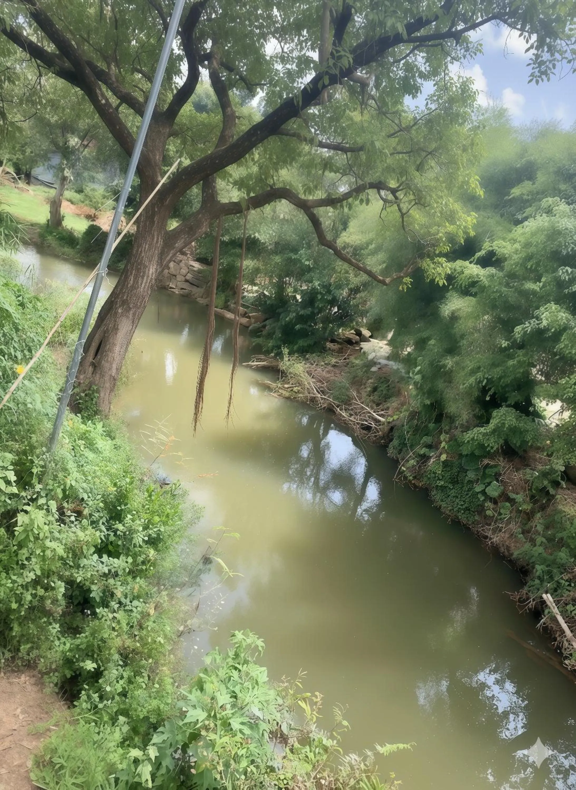 River view in Pin's House