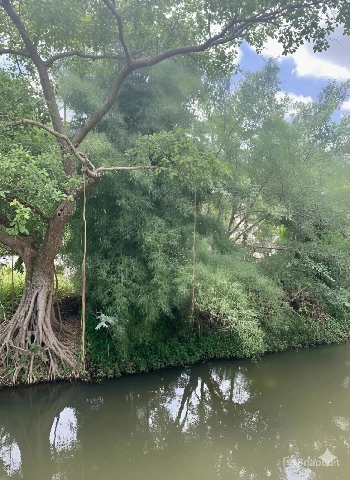 River view in Pin's House