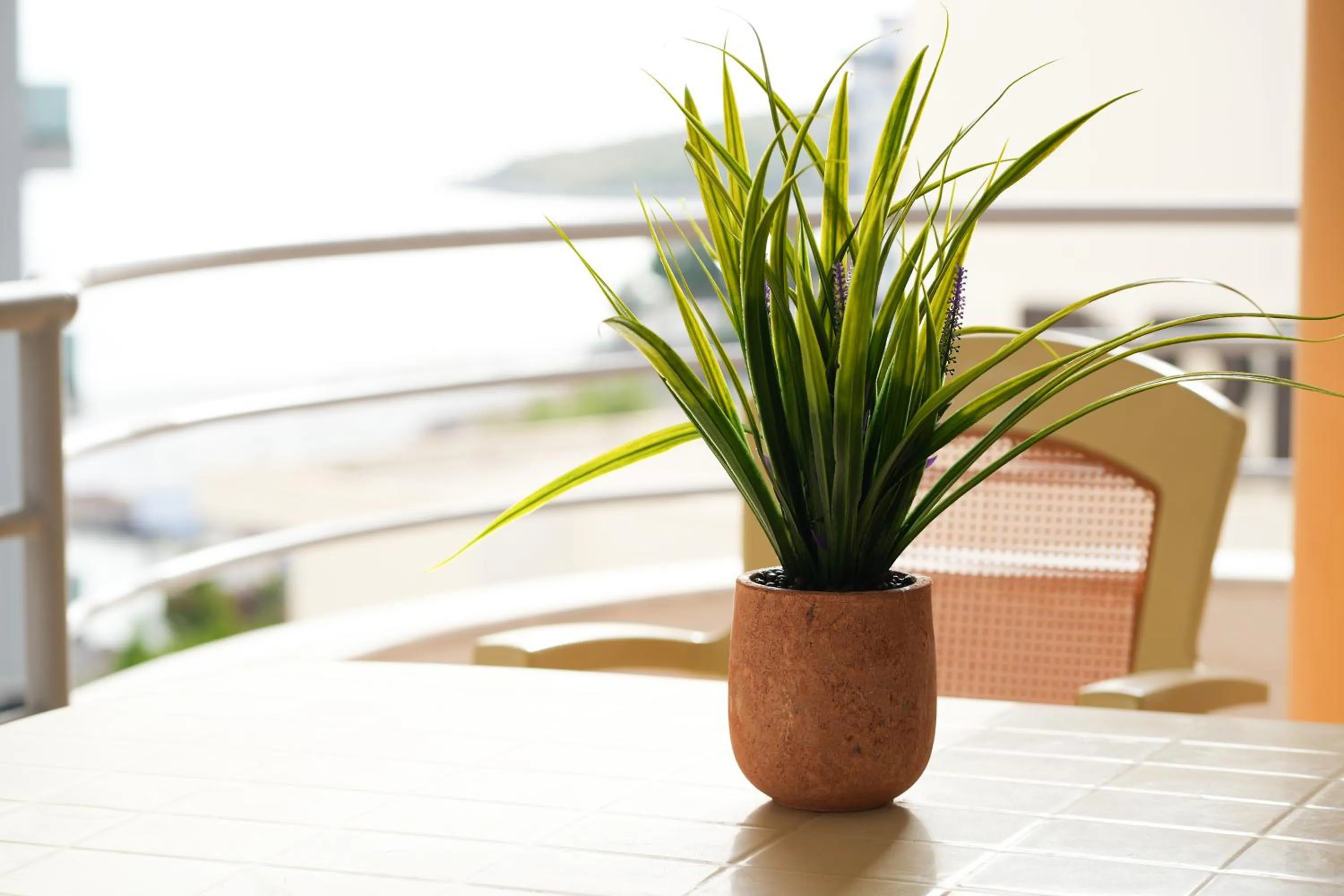 Balcony/Terrace in Saranda Waterside Apartments