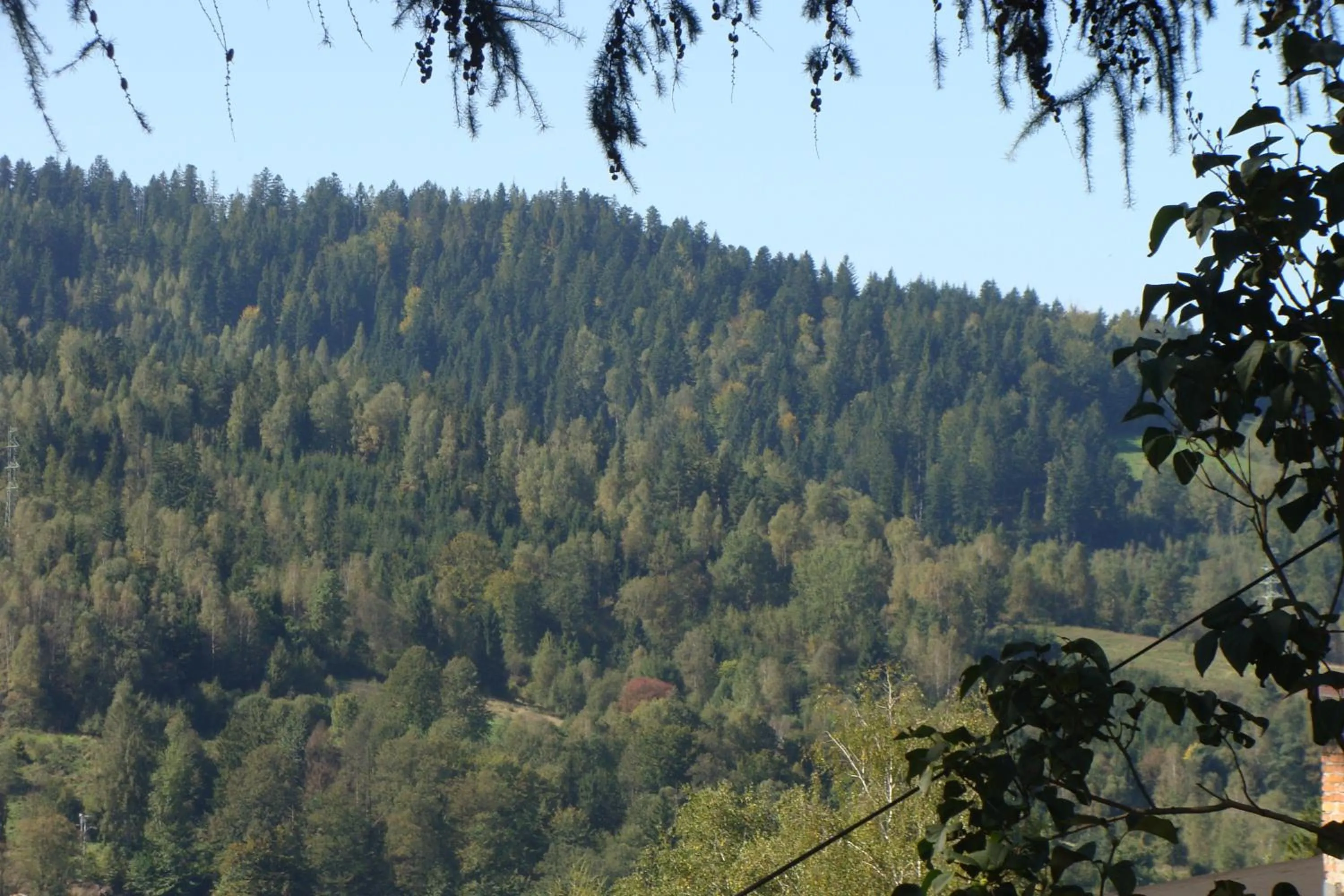 View (from property/room) in Willa Melisa