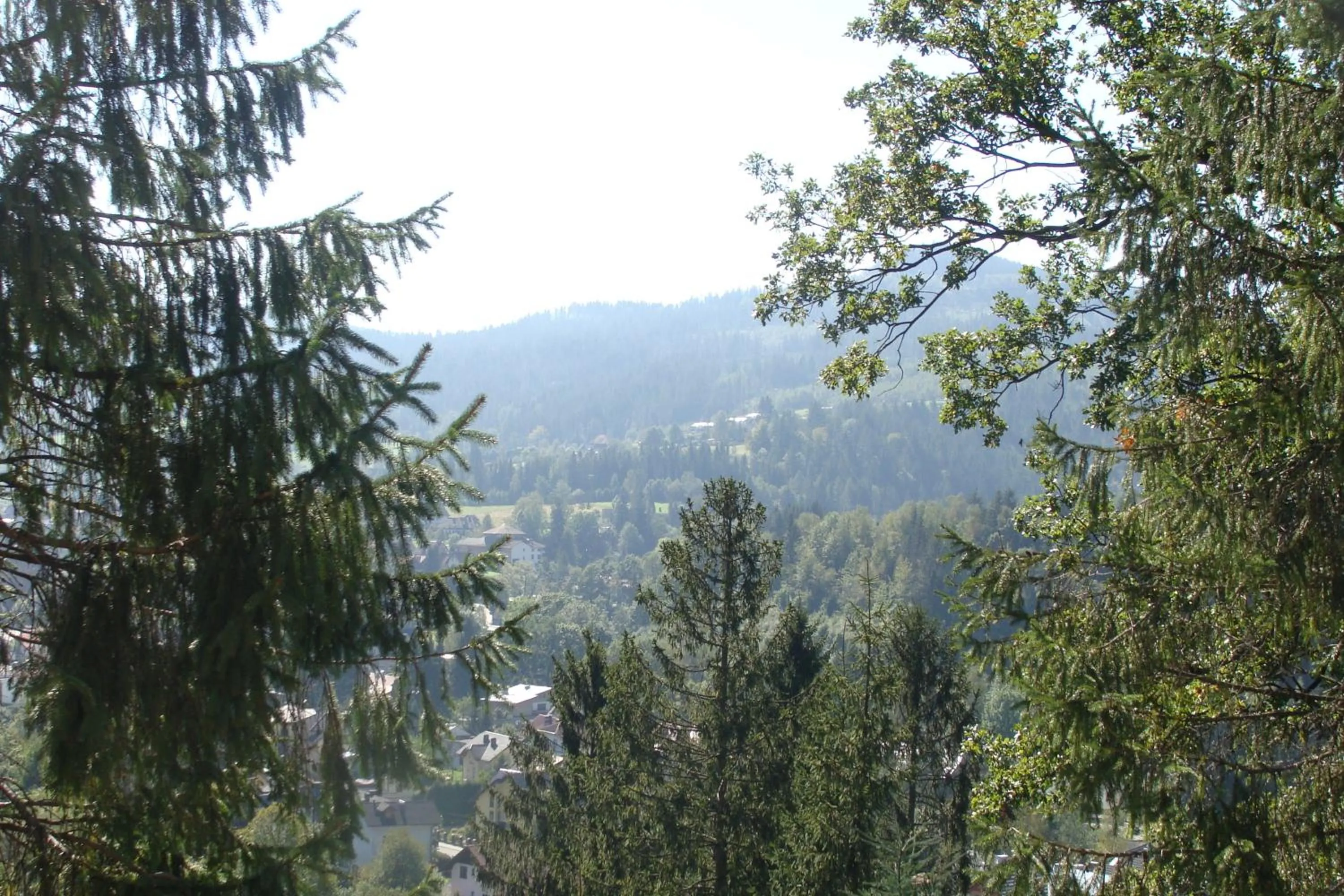 Summer in Willa Melisa