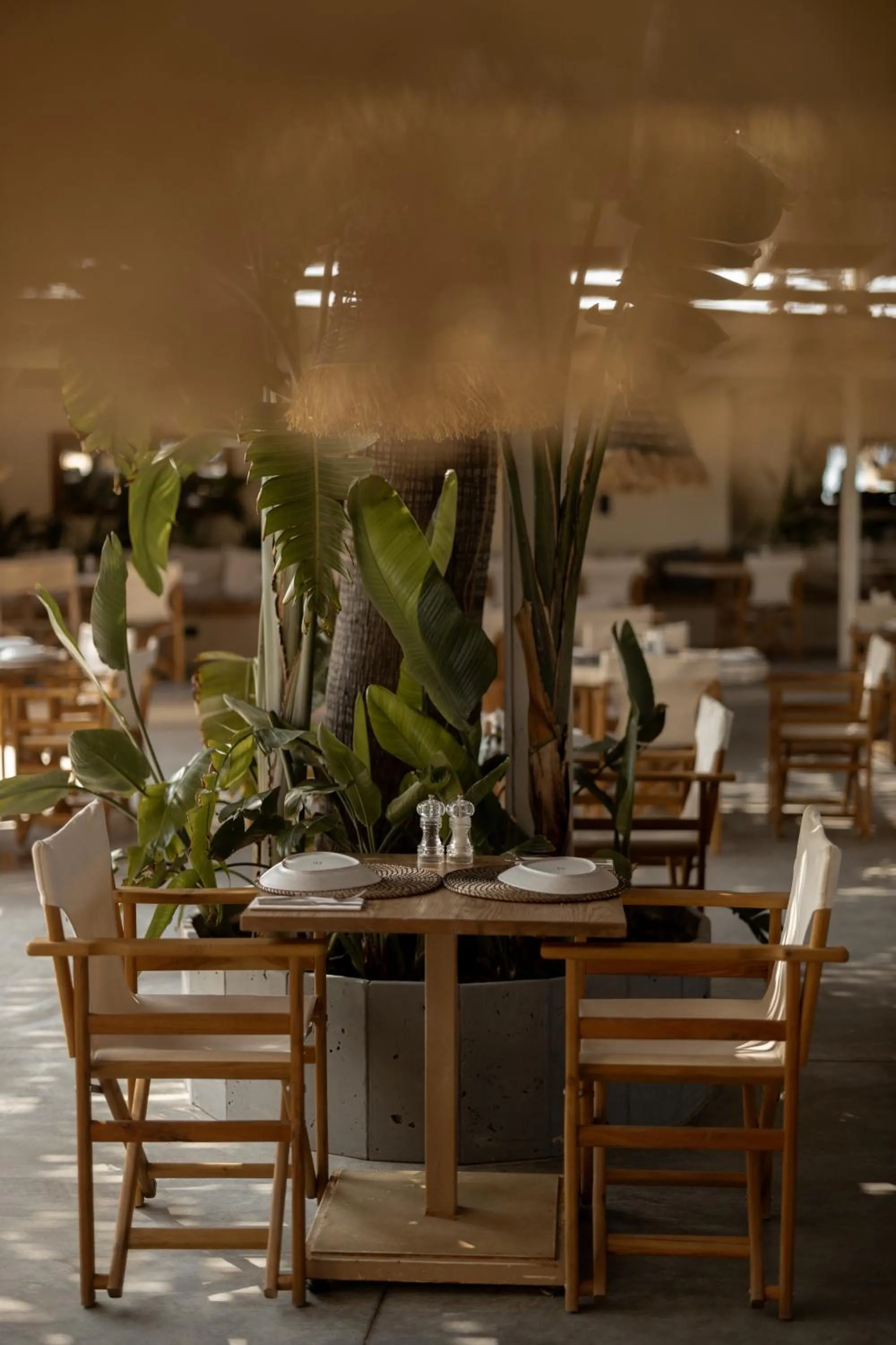 Restaurant/places to eat in @before sunset