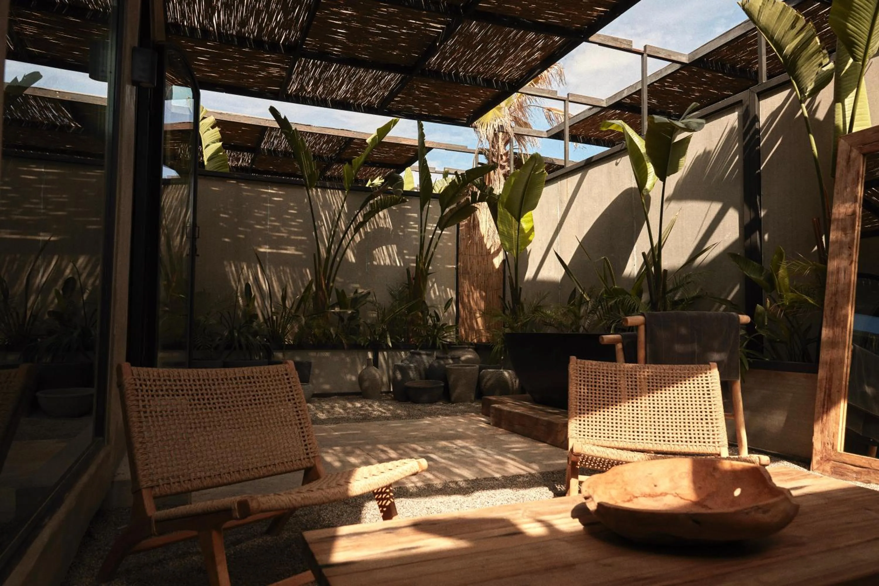 Garden in @before sunset