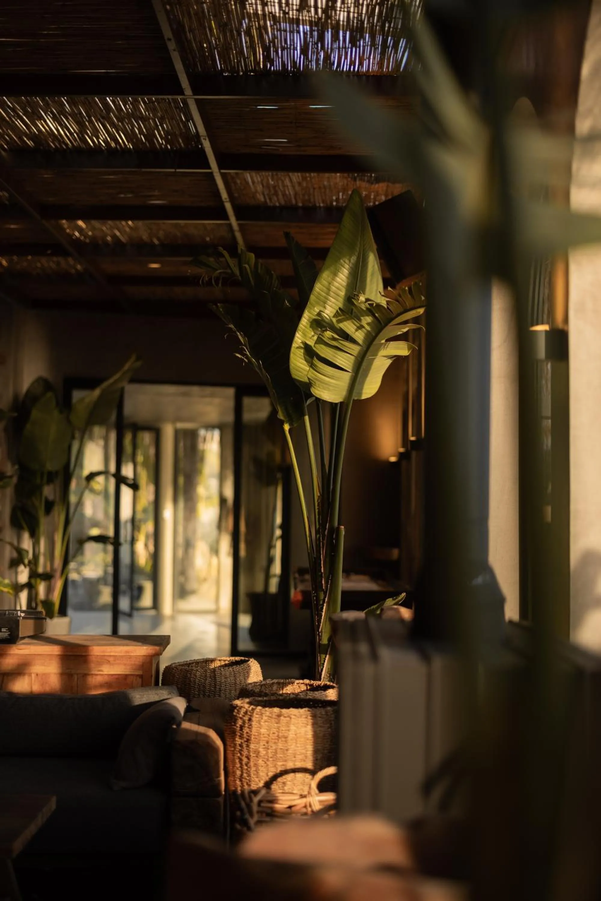 Seating area in @before sunset