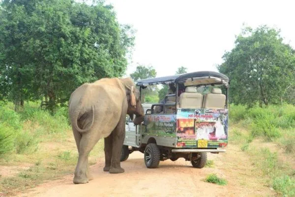 Nil Diya Mankada Safari Lodge