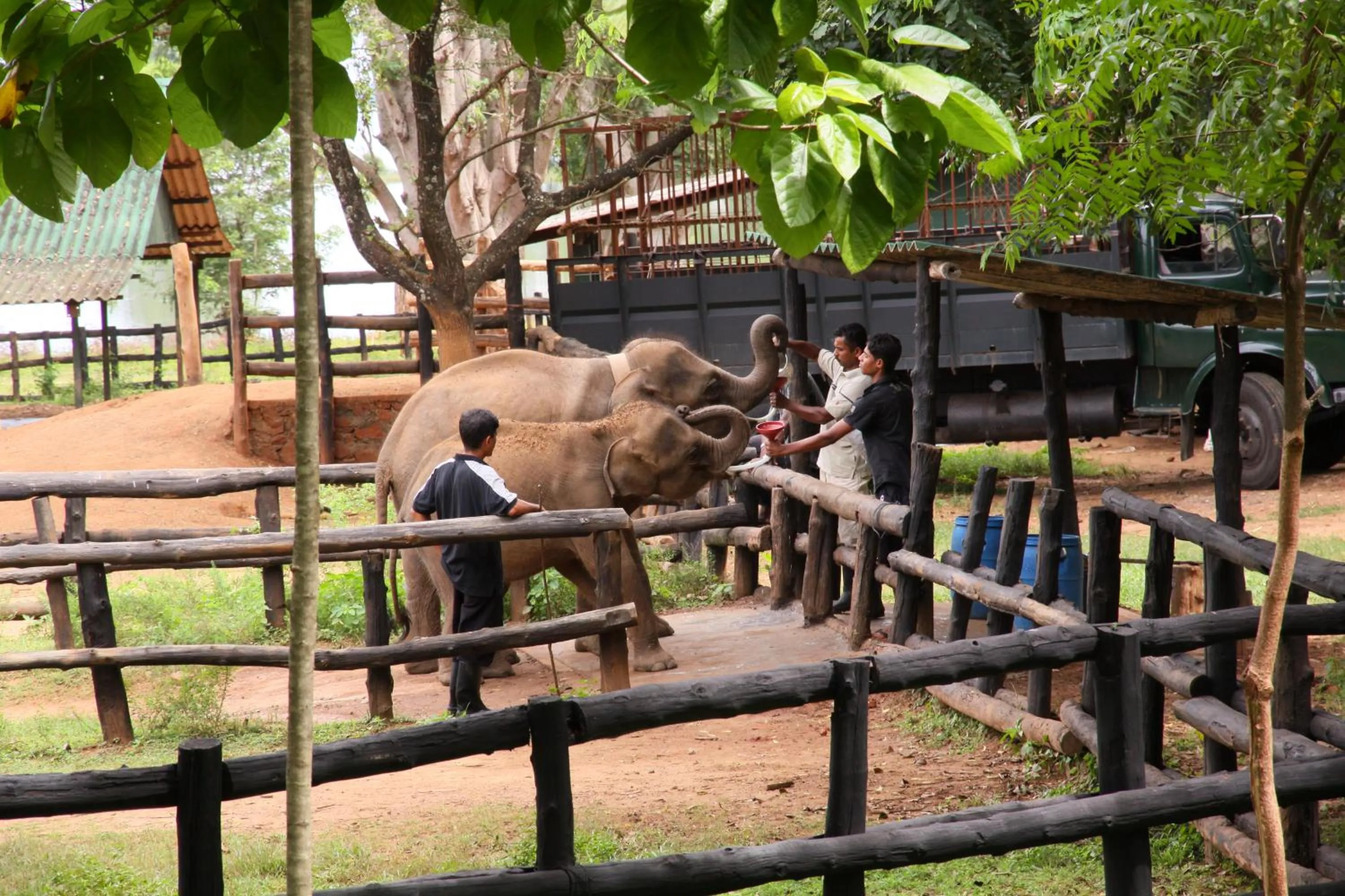 Nil Diya Mankada Safari Lodge