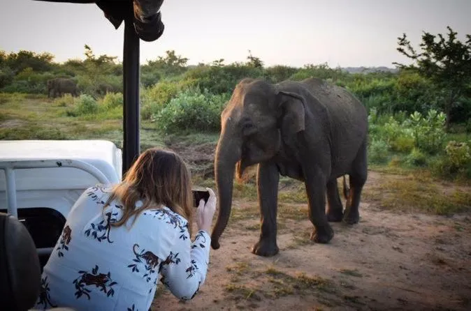 Nil Diya Mankada Safari Lodge
