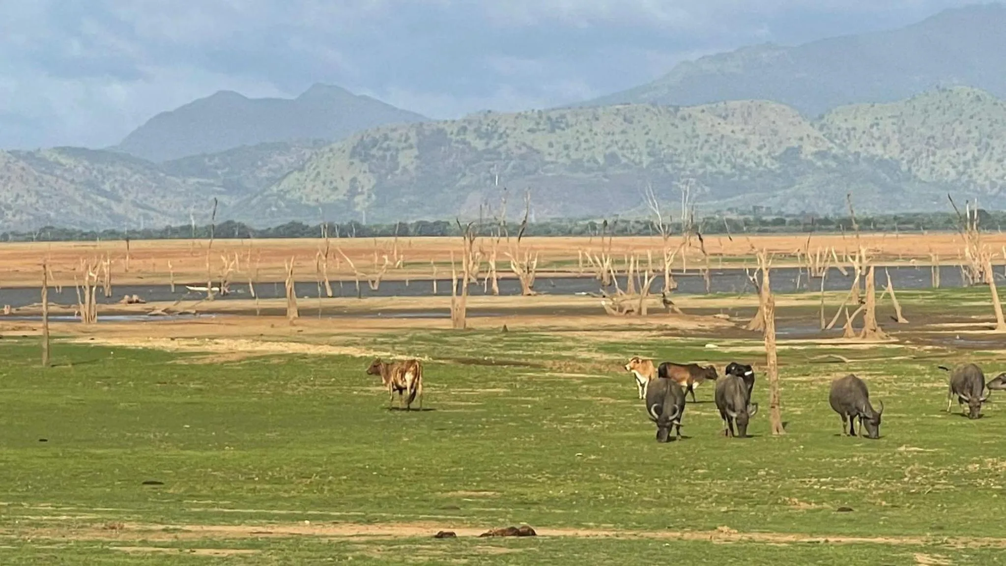 Nil Diya Mankada Safari Lodge
