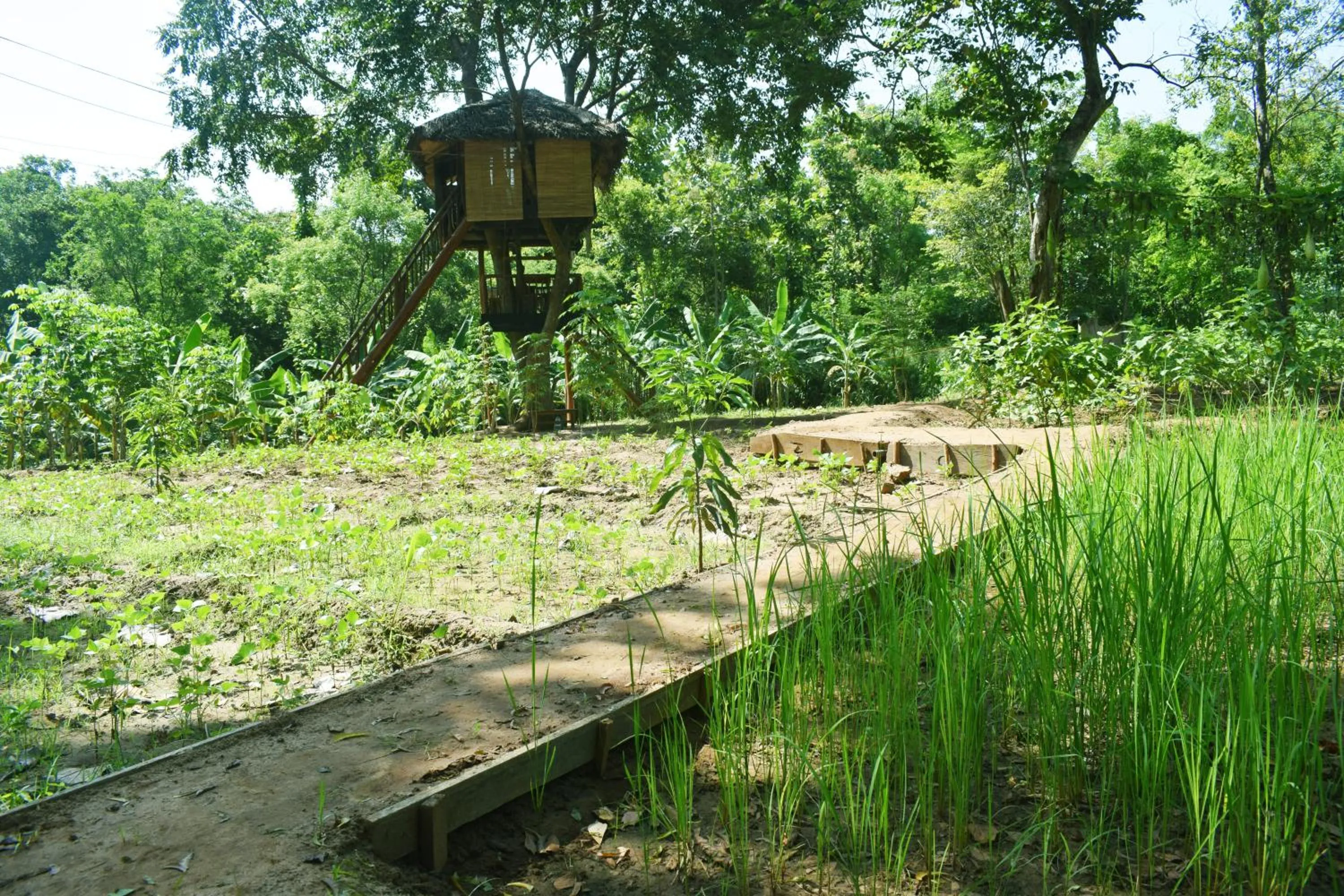 Nil Diya Mankada Safari Lodge