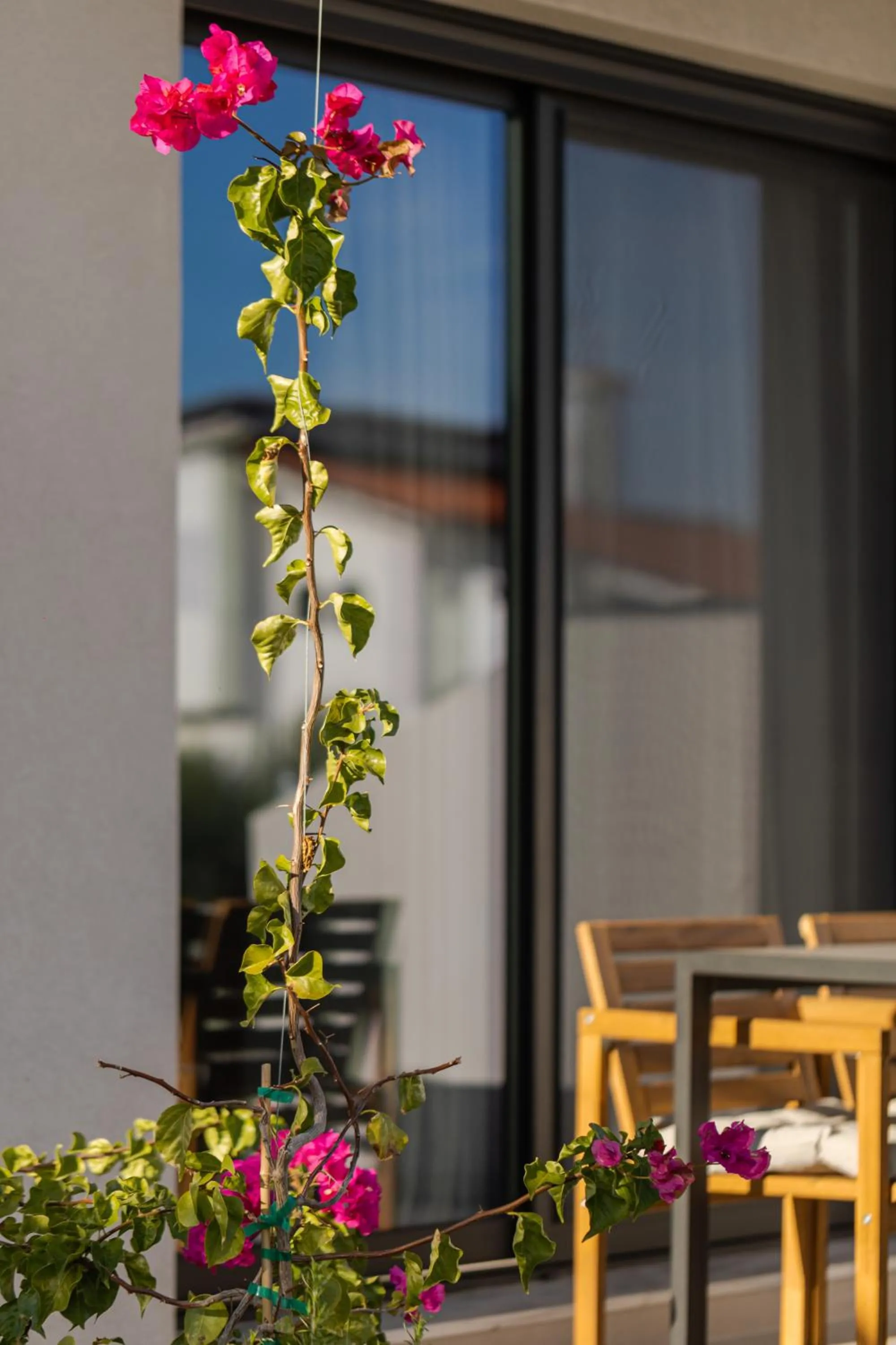 Spring in The 8 Suites