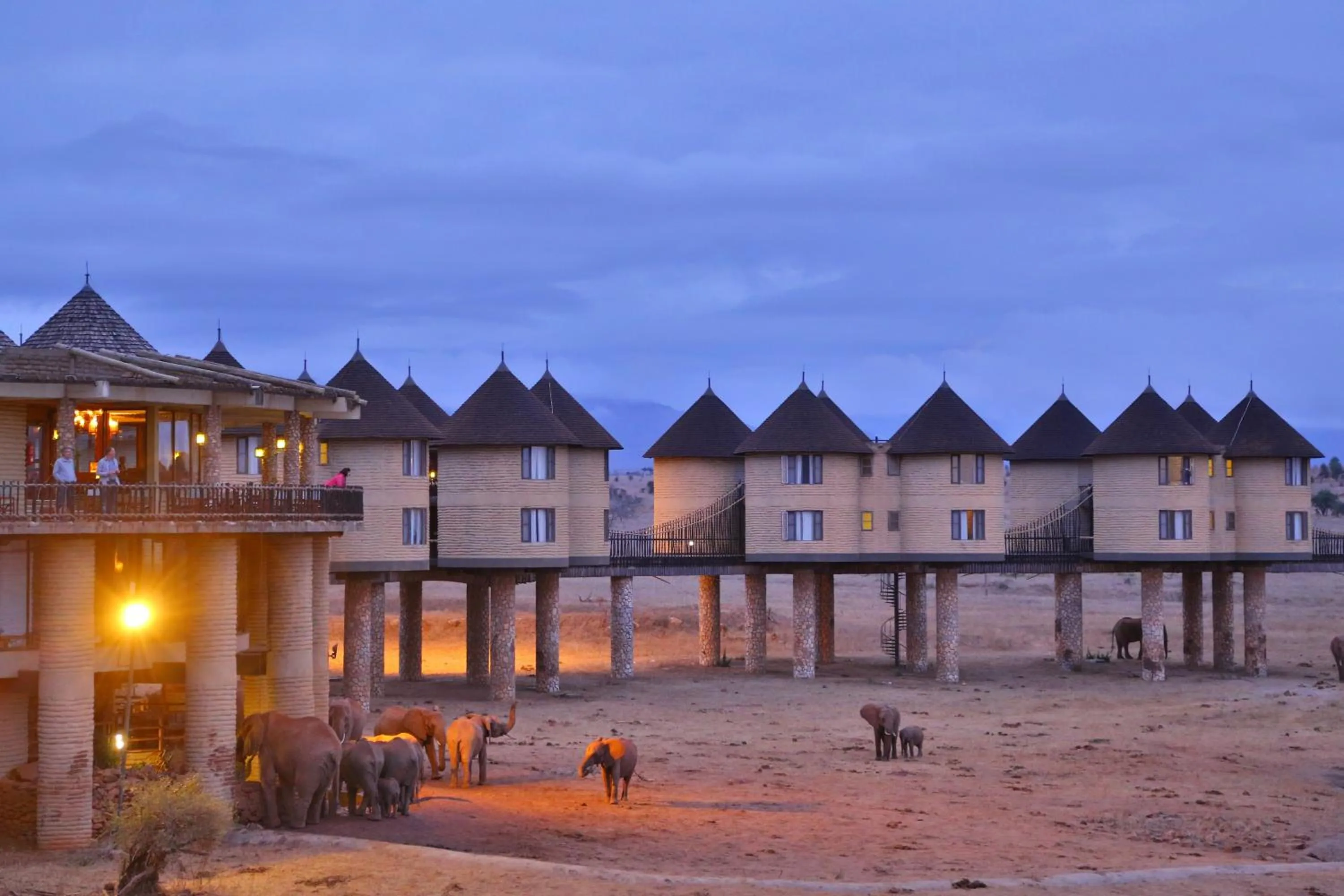 Property building in Salt Lick Safari Lodge