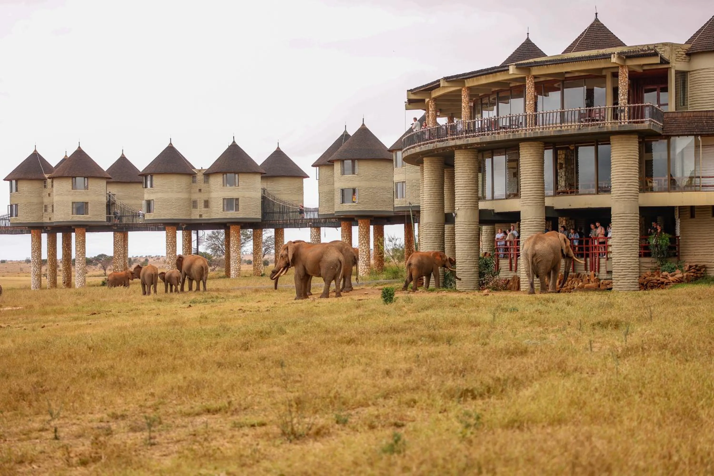 Property building in Salt Lick Safari Lodge