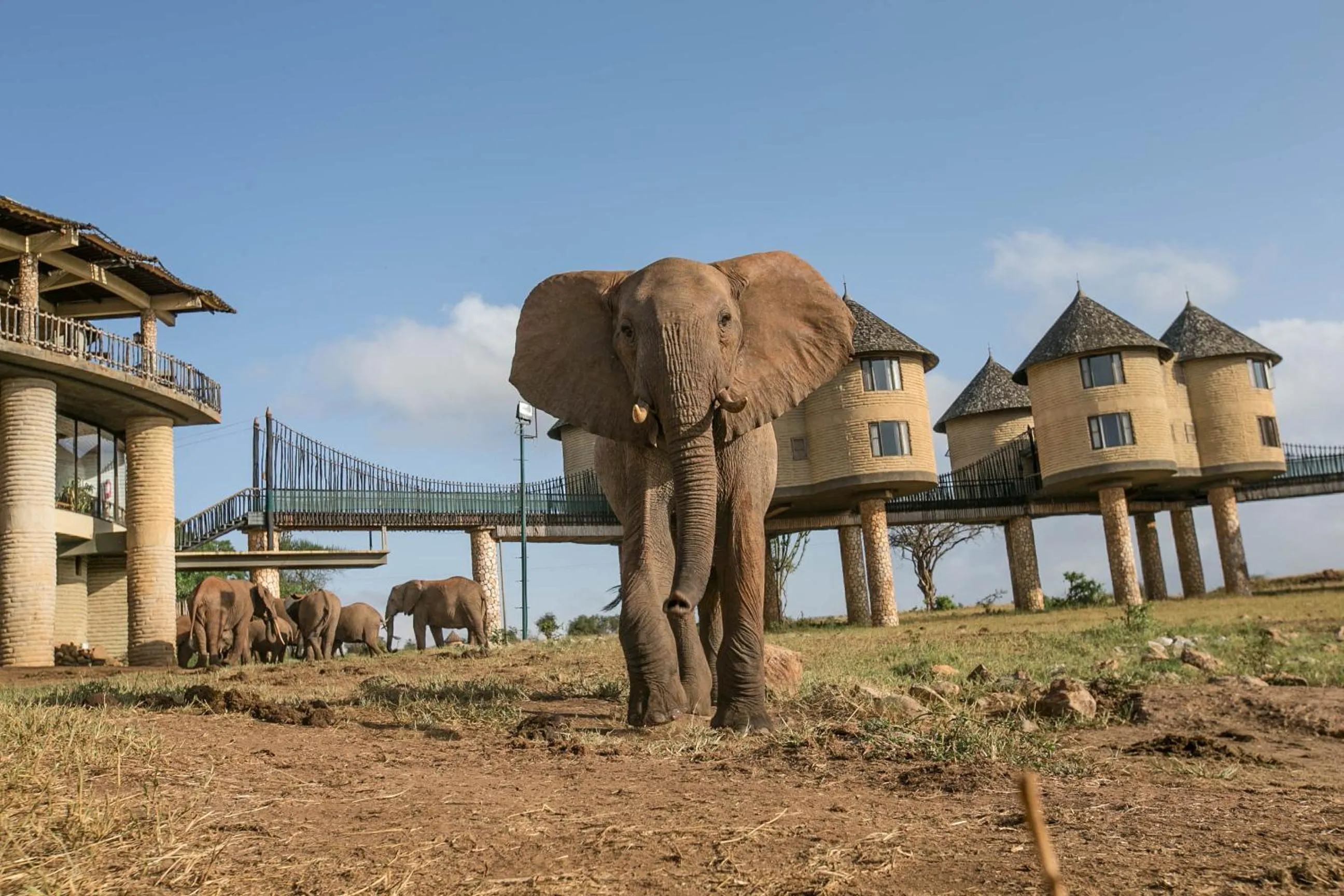 Property building in Salt Lick Safari Lodge