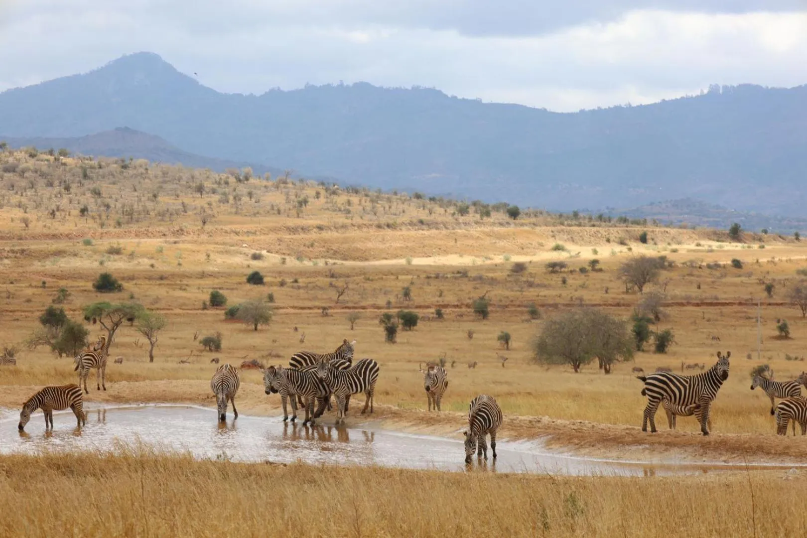 Mountain view in Salt Lick Safari Lodge