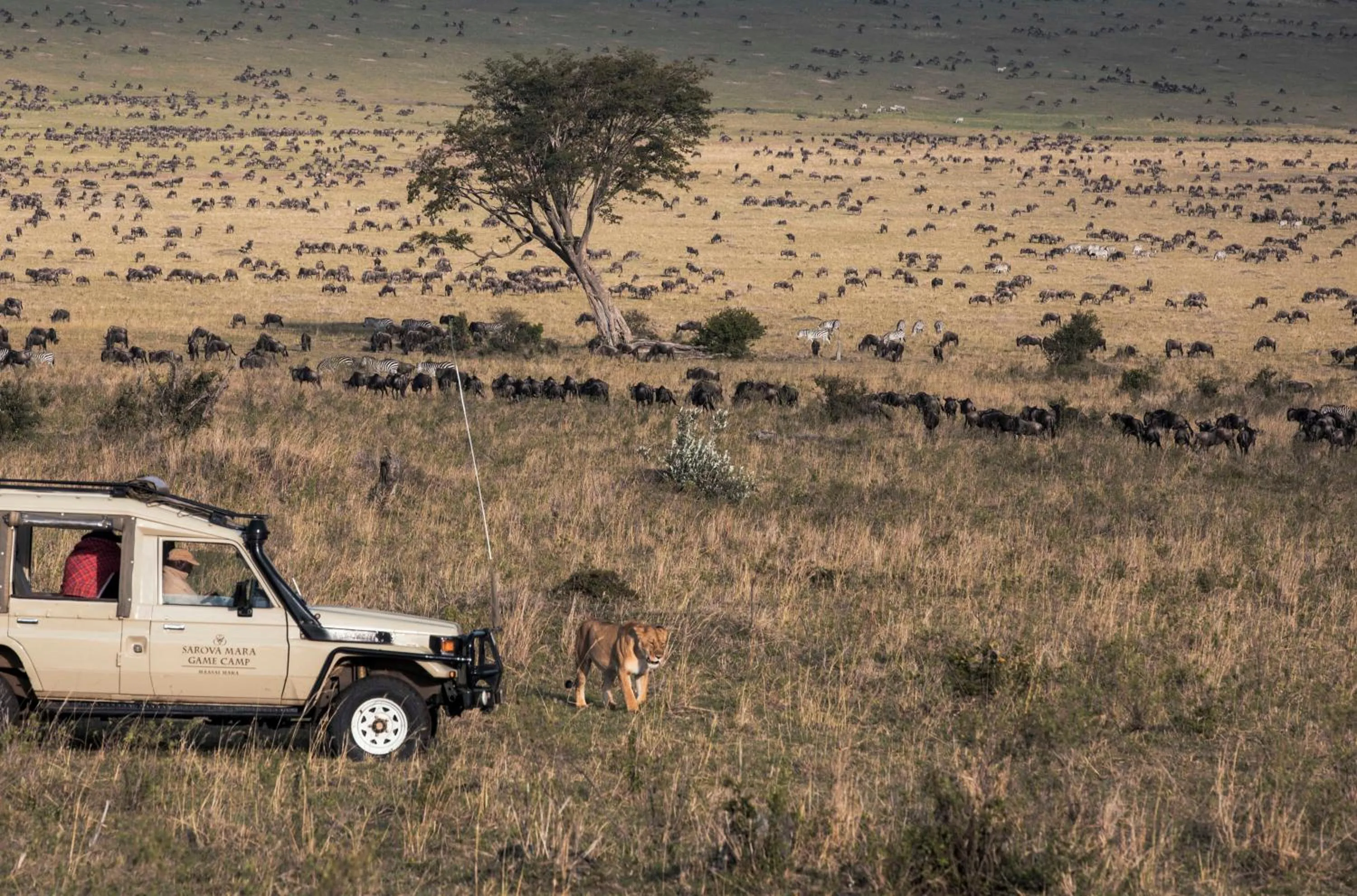 Natural landscape in Sarova Mara Game Camp