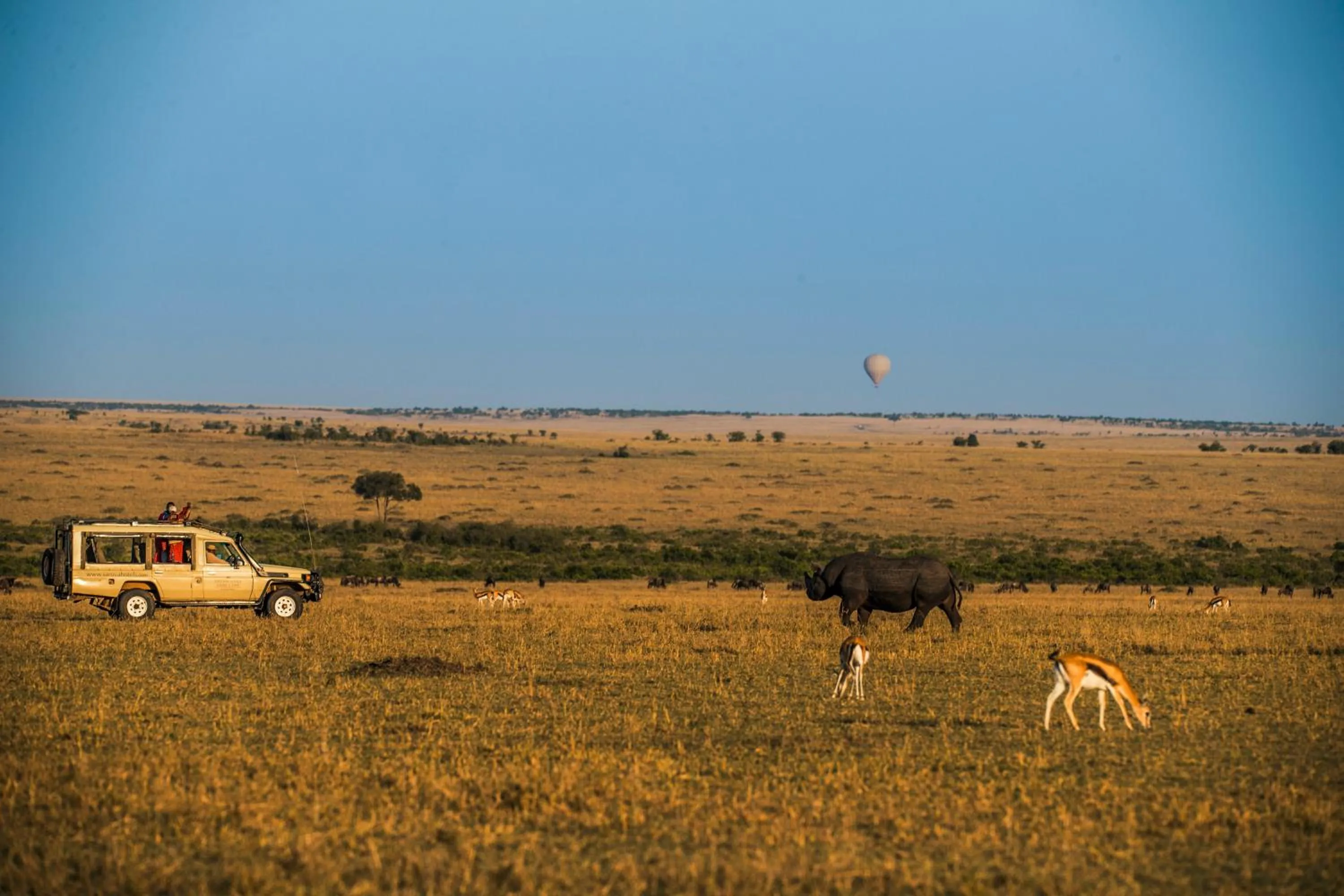 Natural landscape in Sarova Mara Game Camp