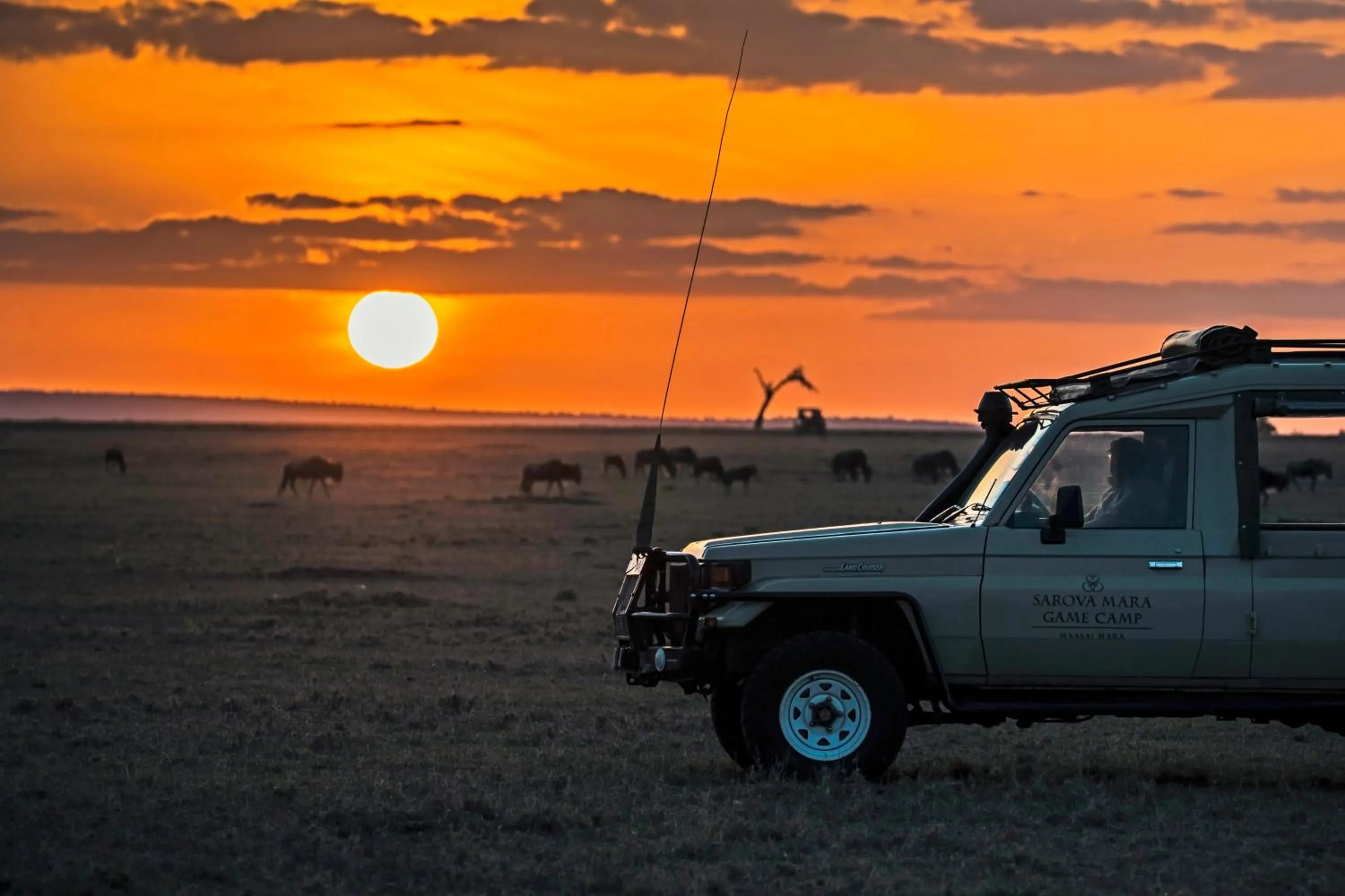 Natural landscape in Sarova Mara Game Camp