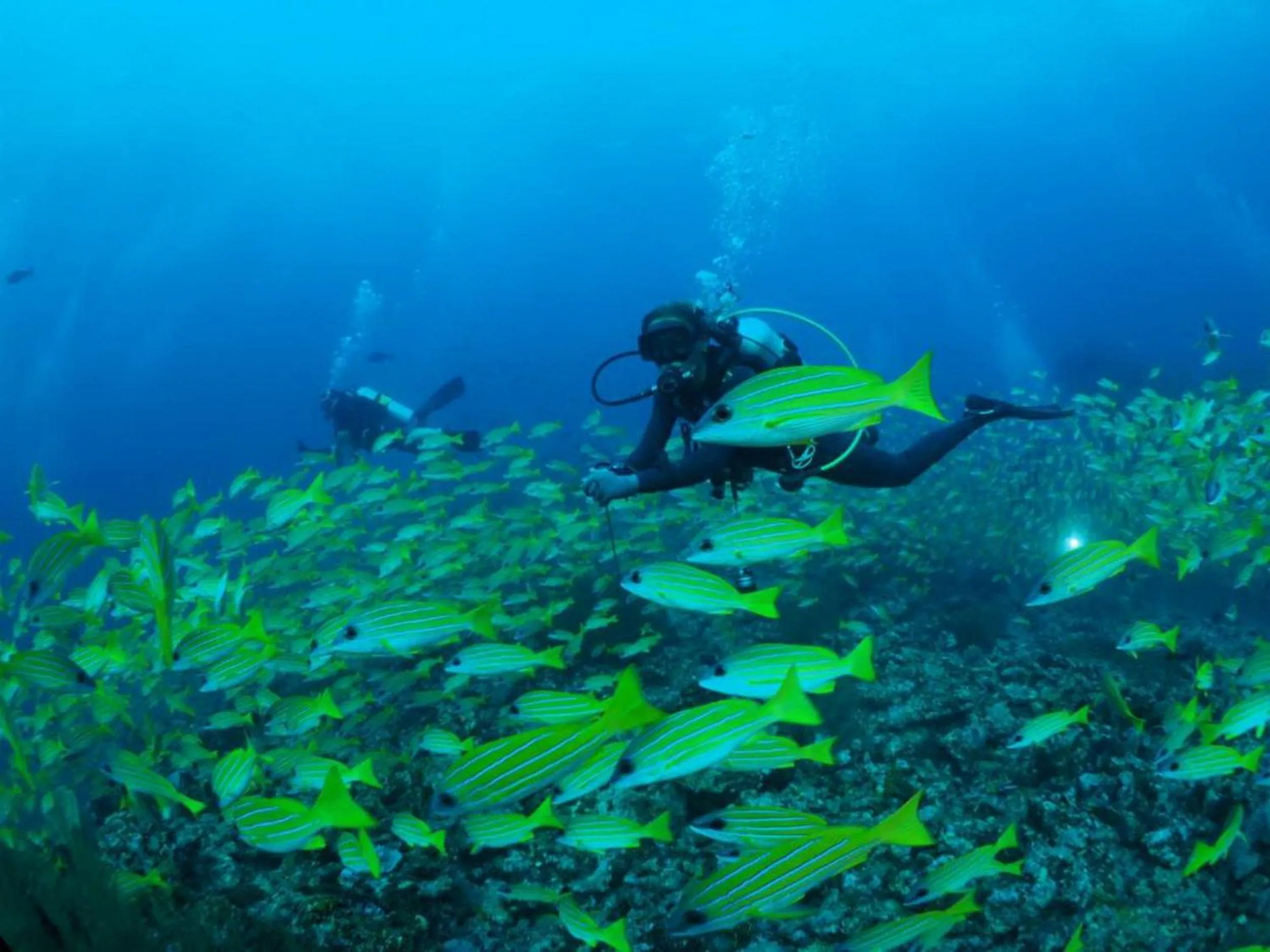 People in Adroit Beach Inn