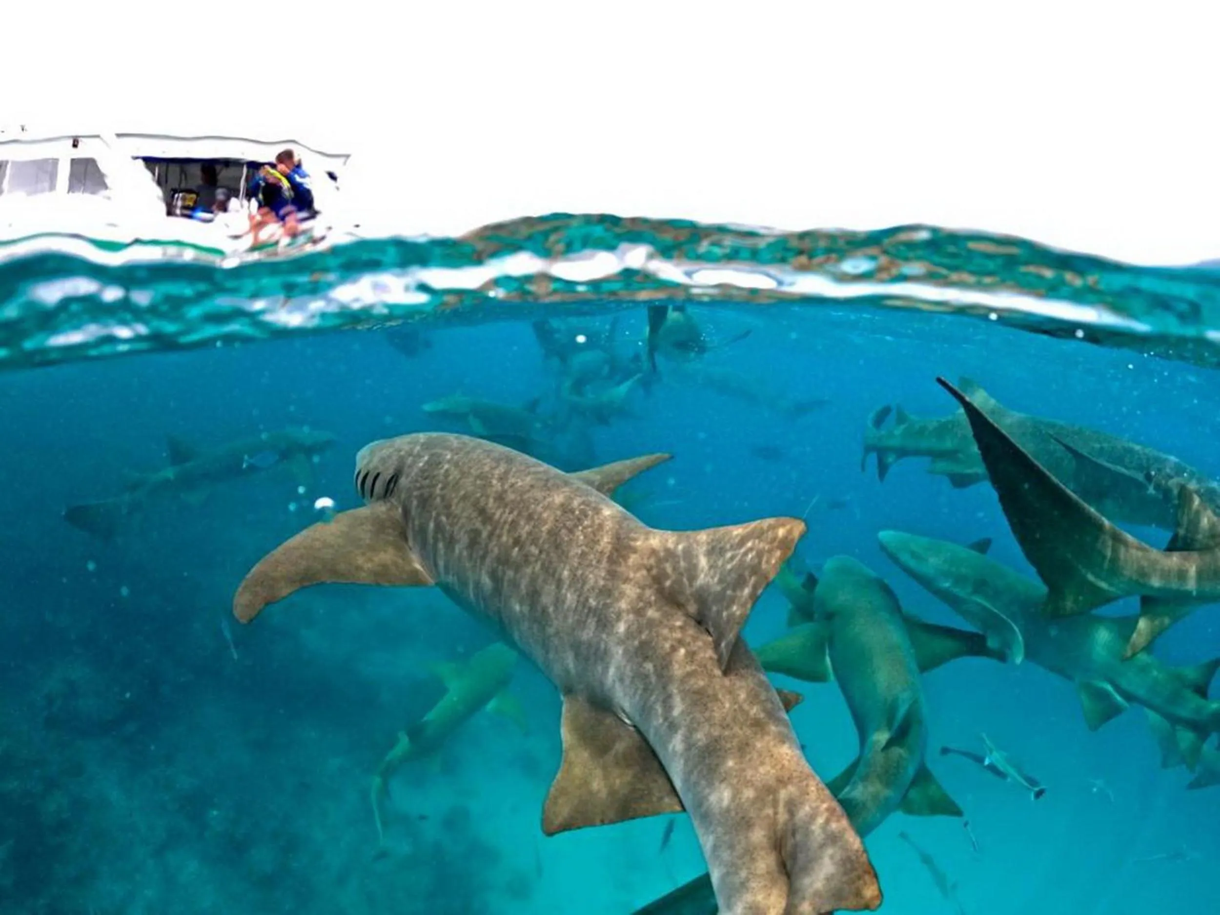 People in Adroit Beach Inn