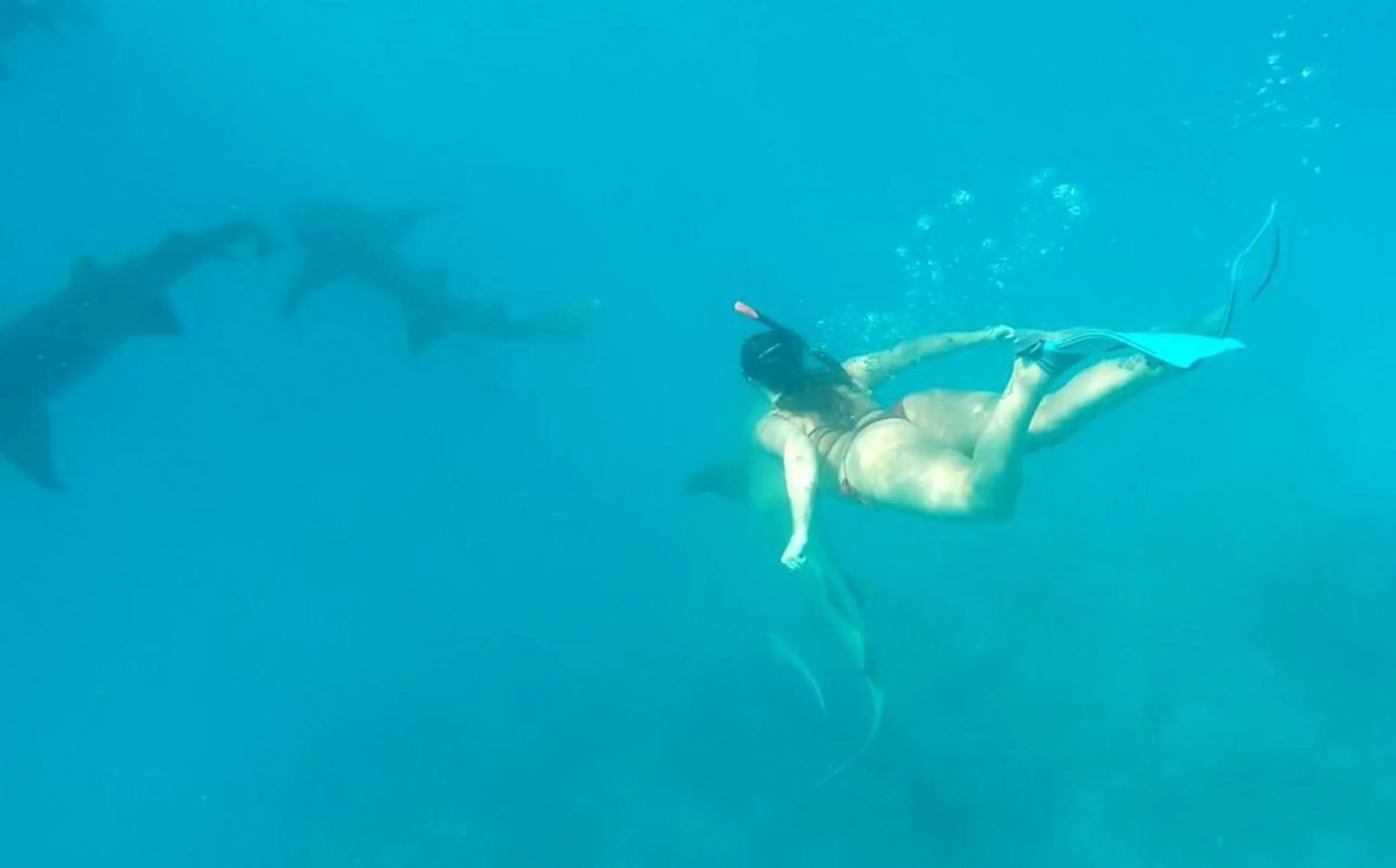 People in Adroit Beach Inn