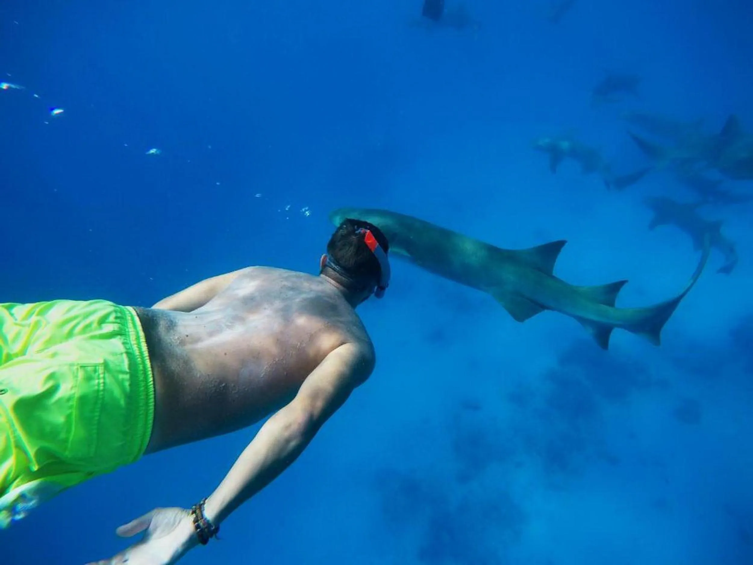 People in Adroit Beach Inn