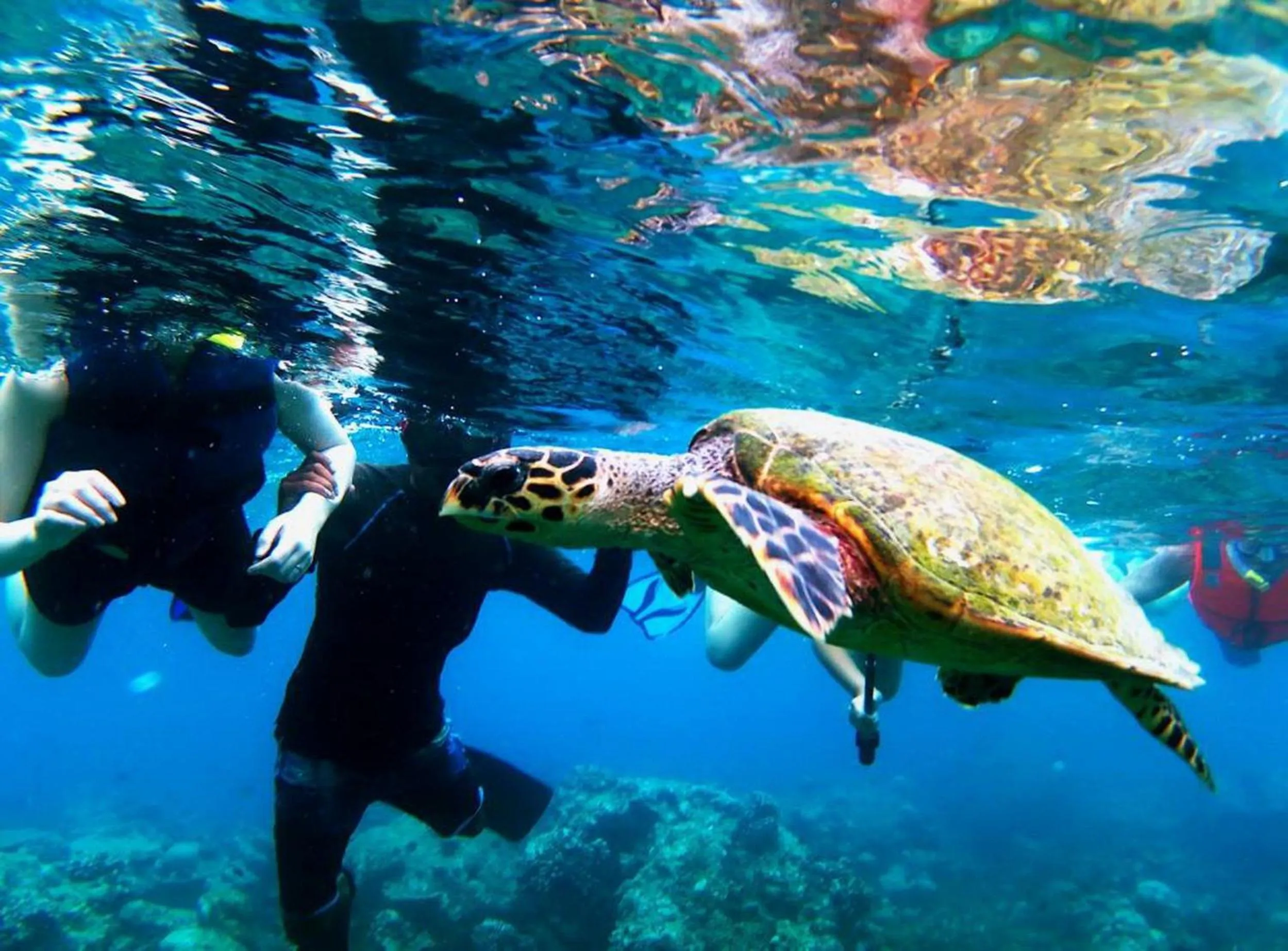 People in Adroit Beach Inn