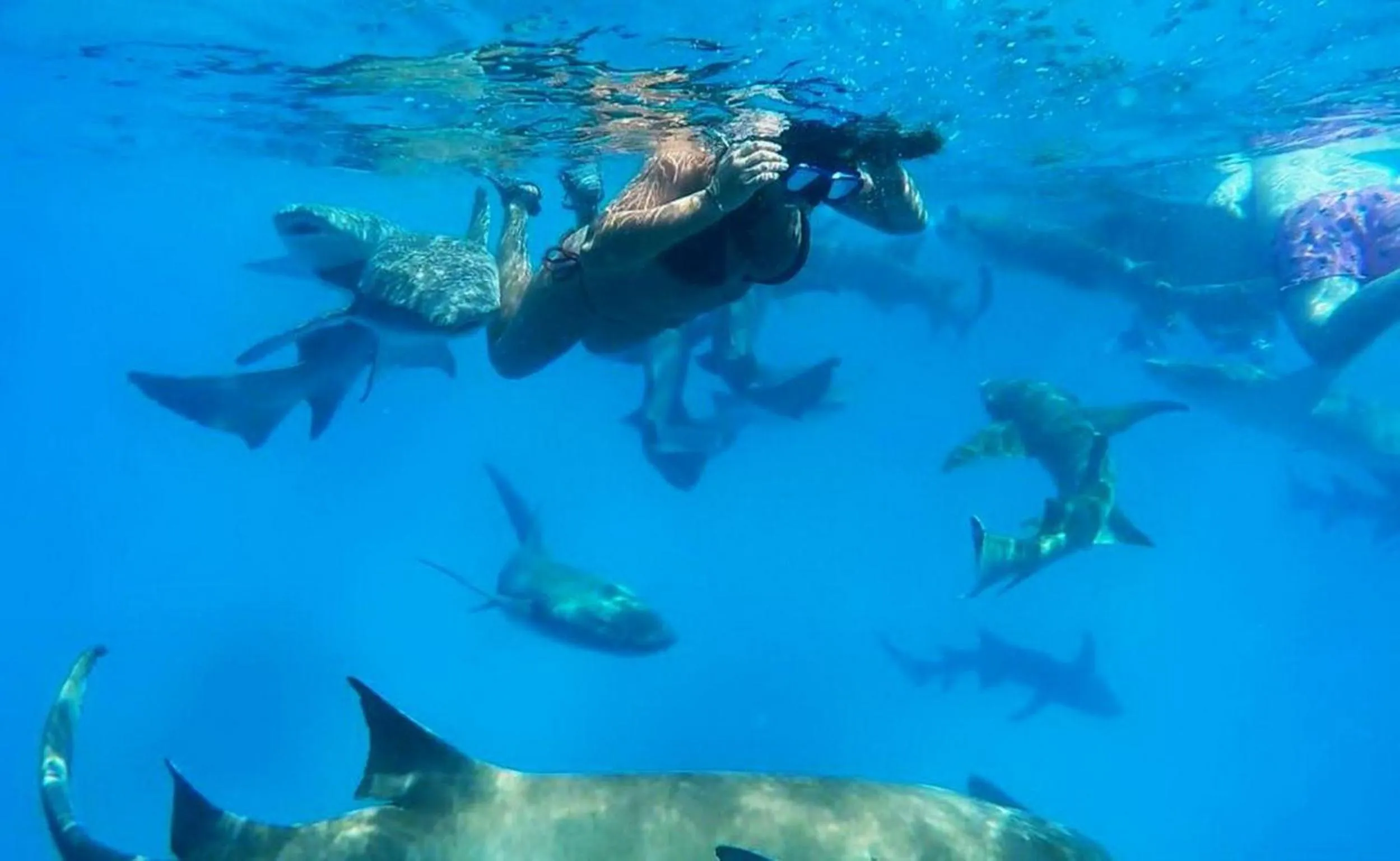 People in Adroit Beach Inn