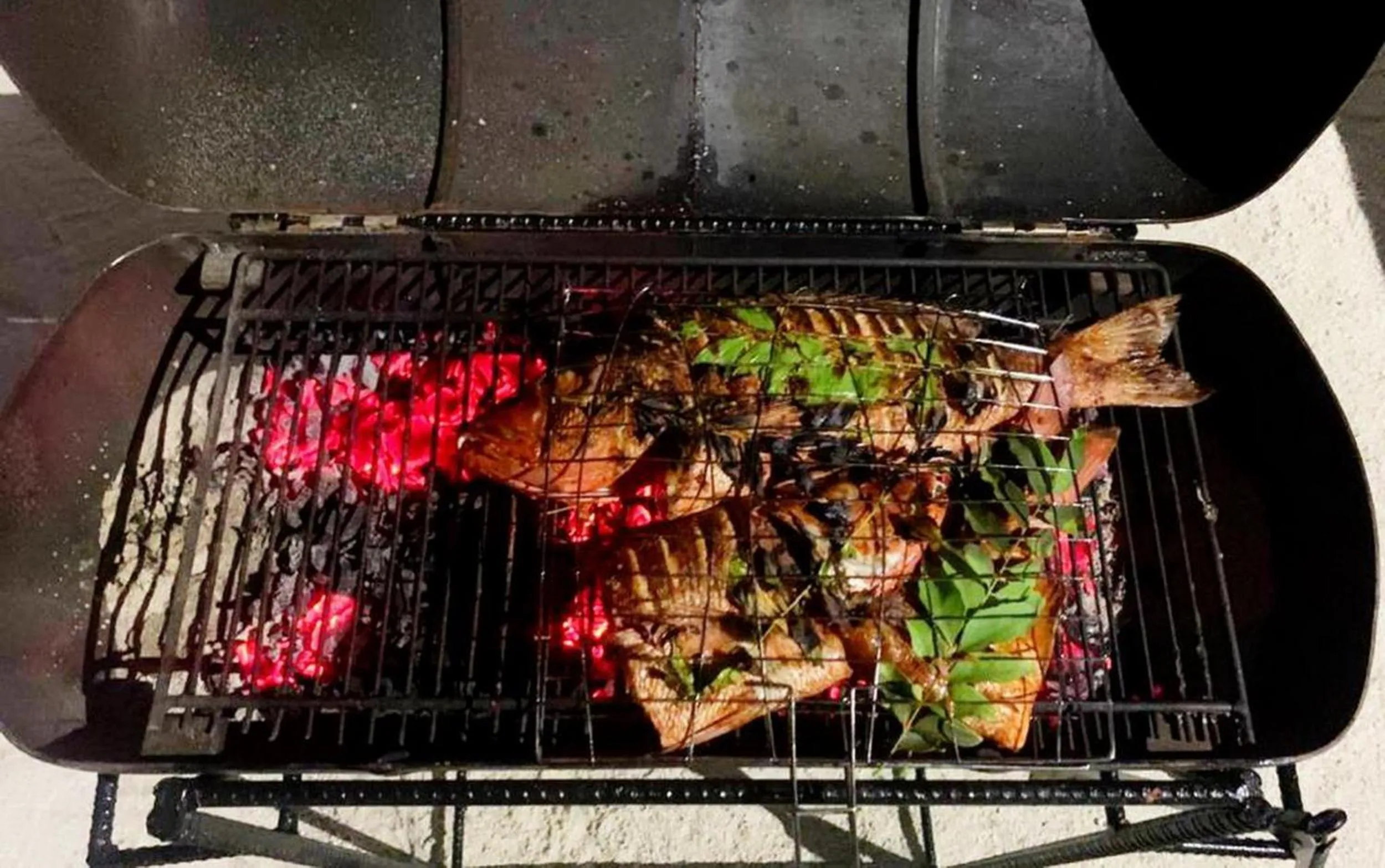 BBQ facilities in Adroit Beach Inn