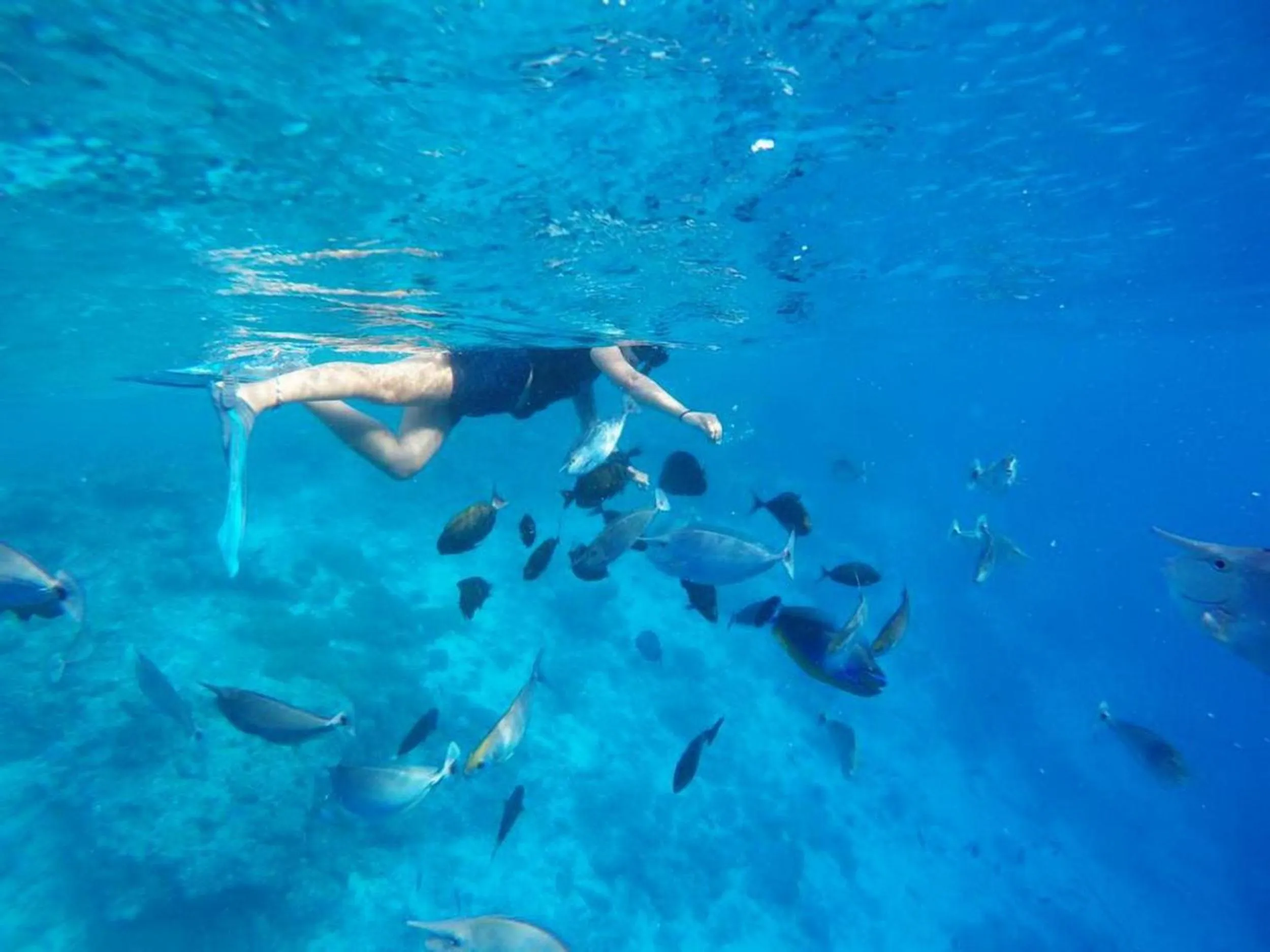 People in Adroit Beach Inn