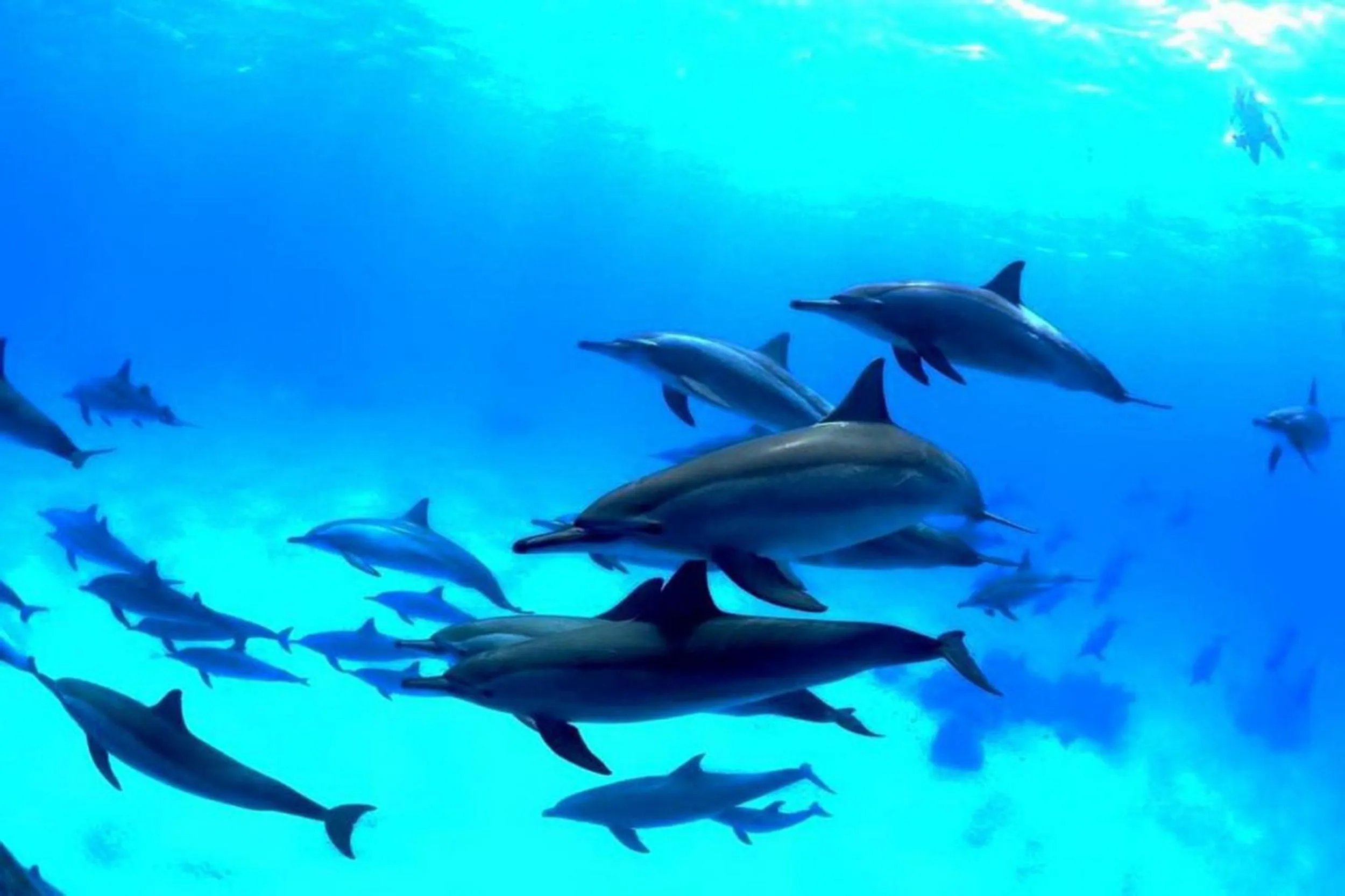 People in Adroit Beach Inn