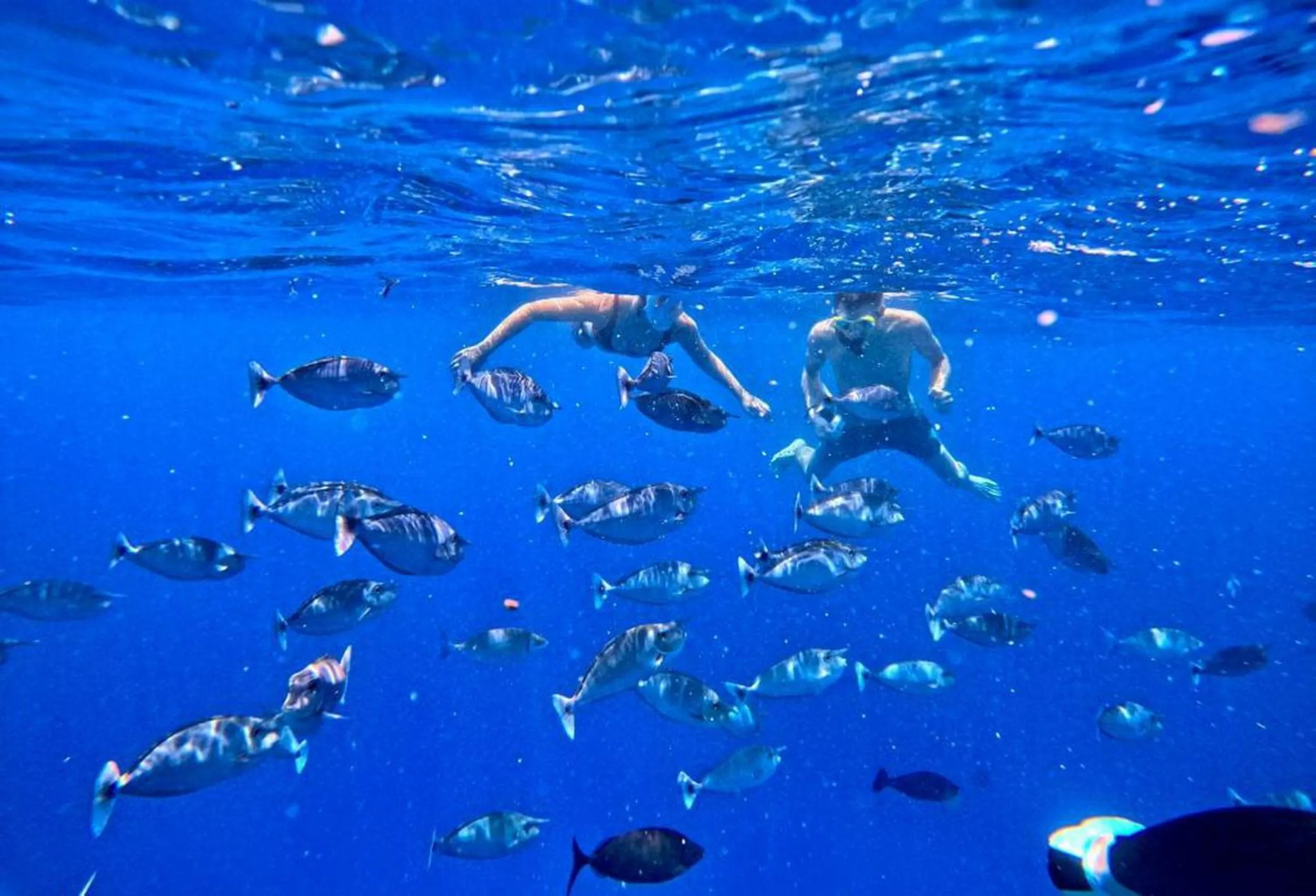 People in Adroit Beach Inn