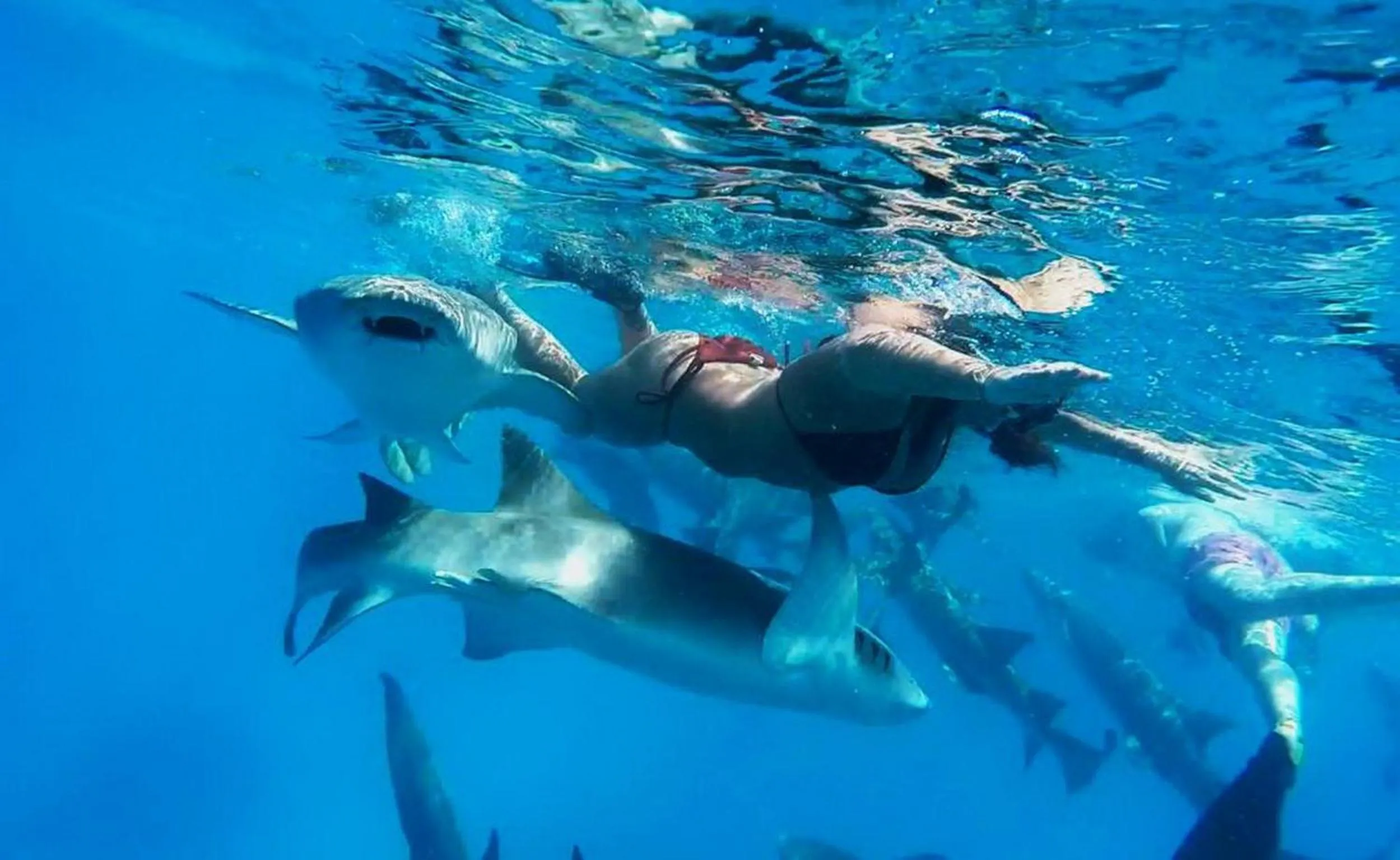 People in Adroit Beach Inn