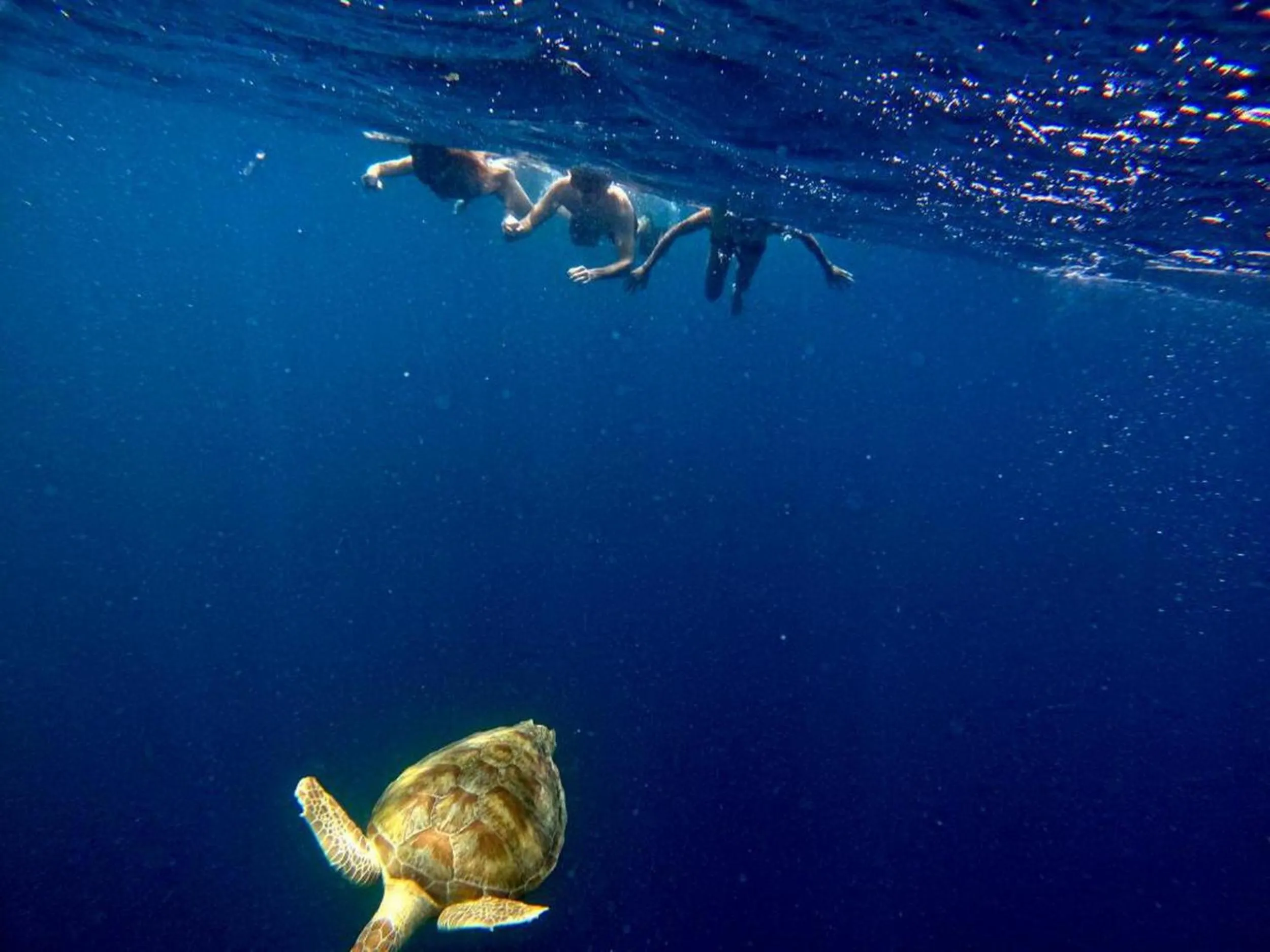 People in Adroit Beach Inn