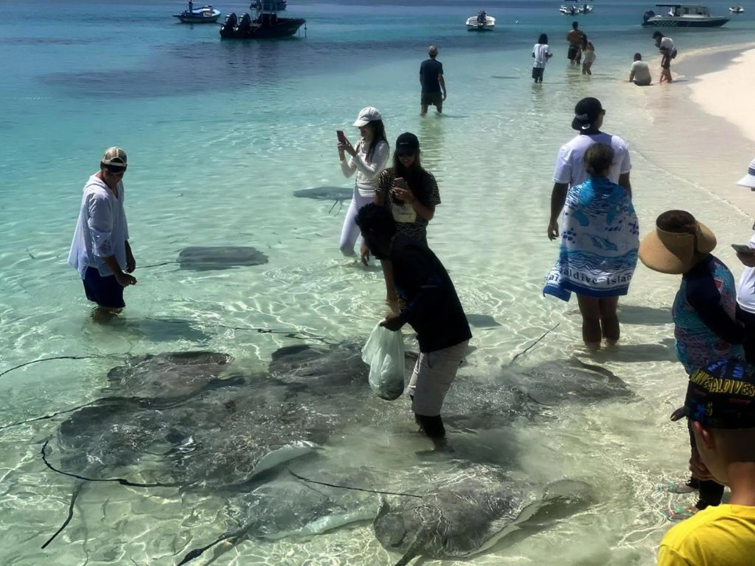 Day in Adroit Beach Inn