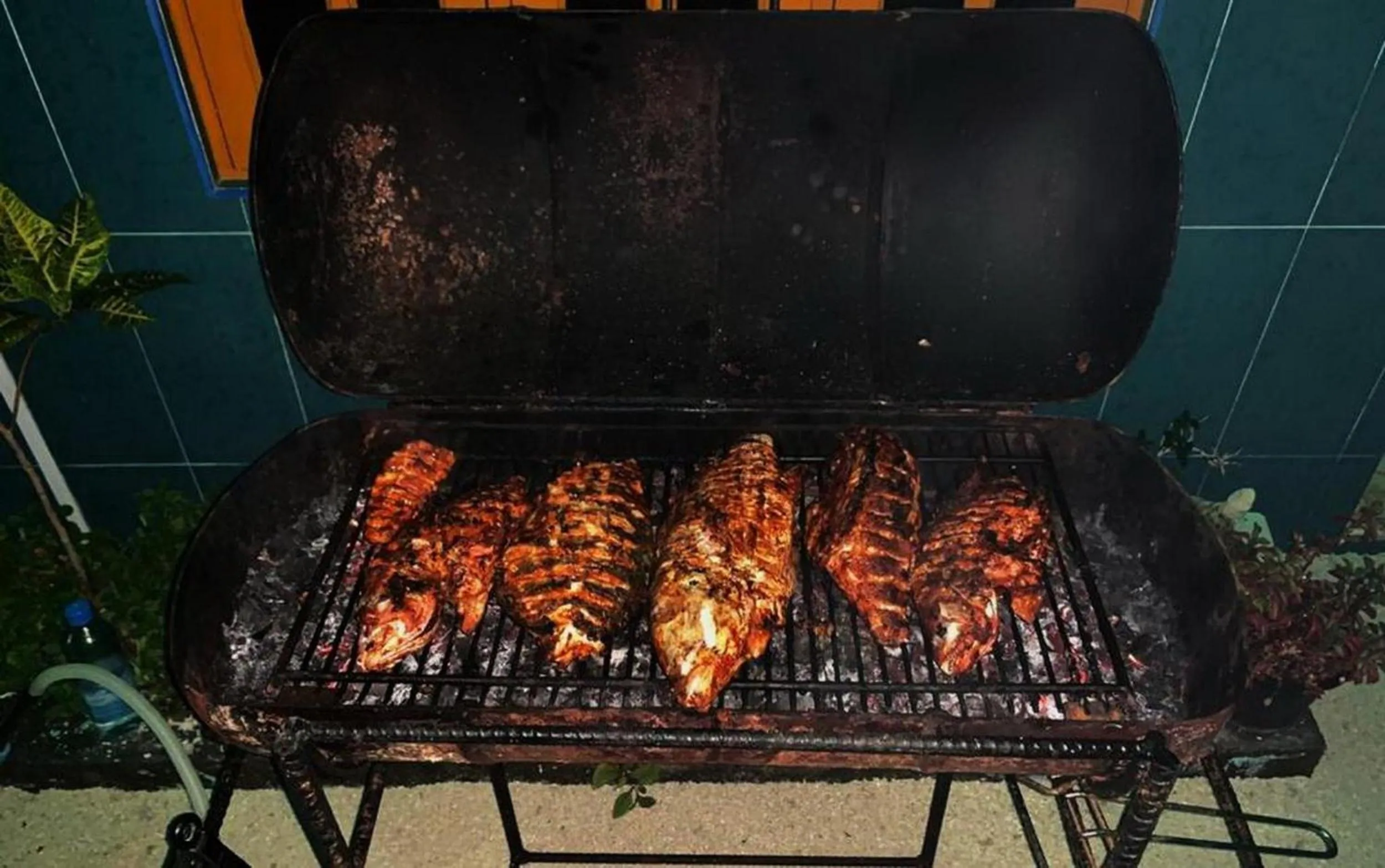 BBQ facilities in Adroit Beach Inn