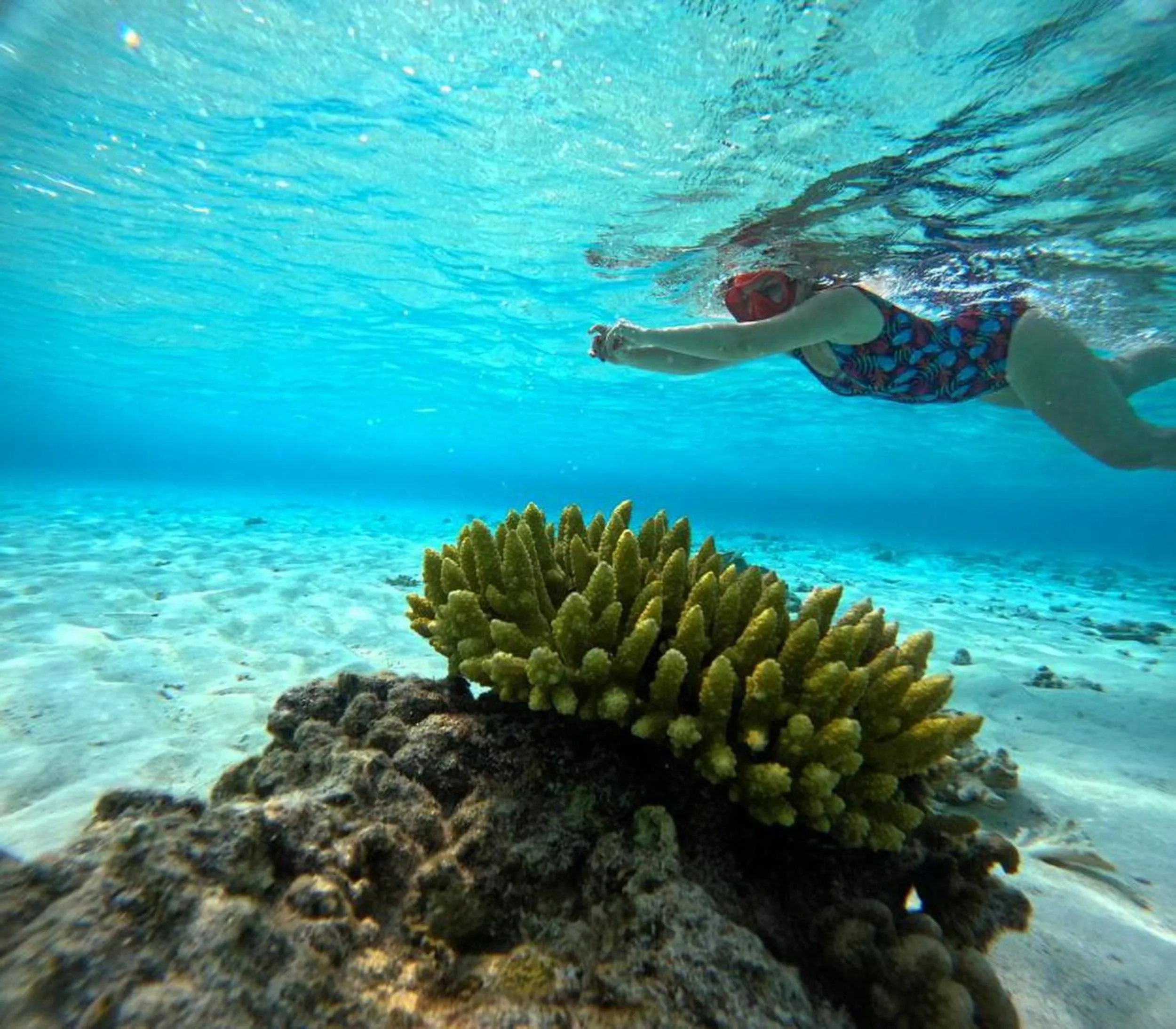 People in Adroit Beach Inn