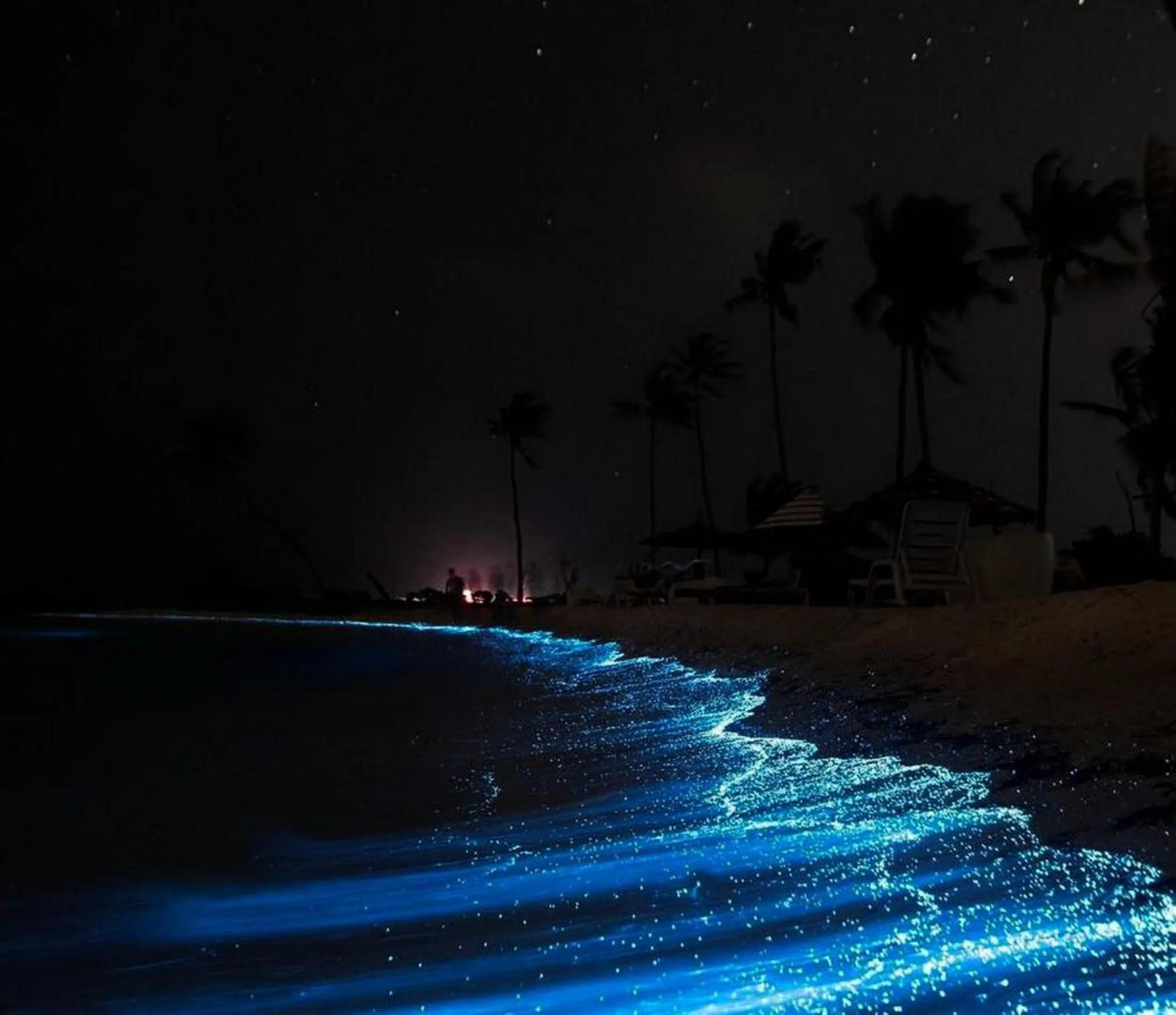 Night in Adroit Beach Inn