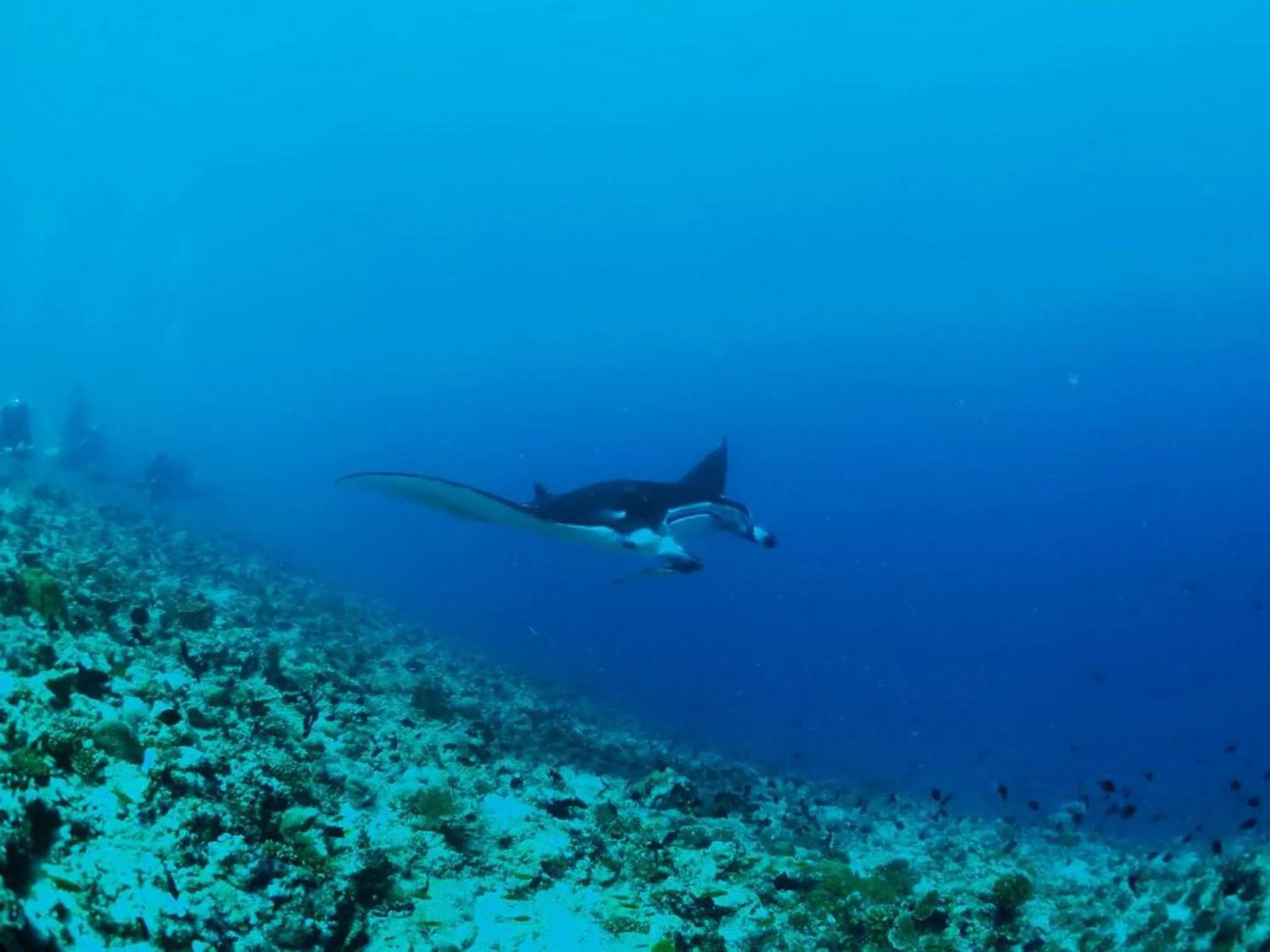 People in Adroit Beach Inn