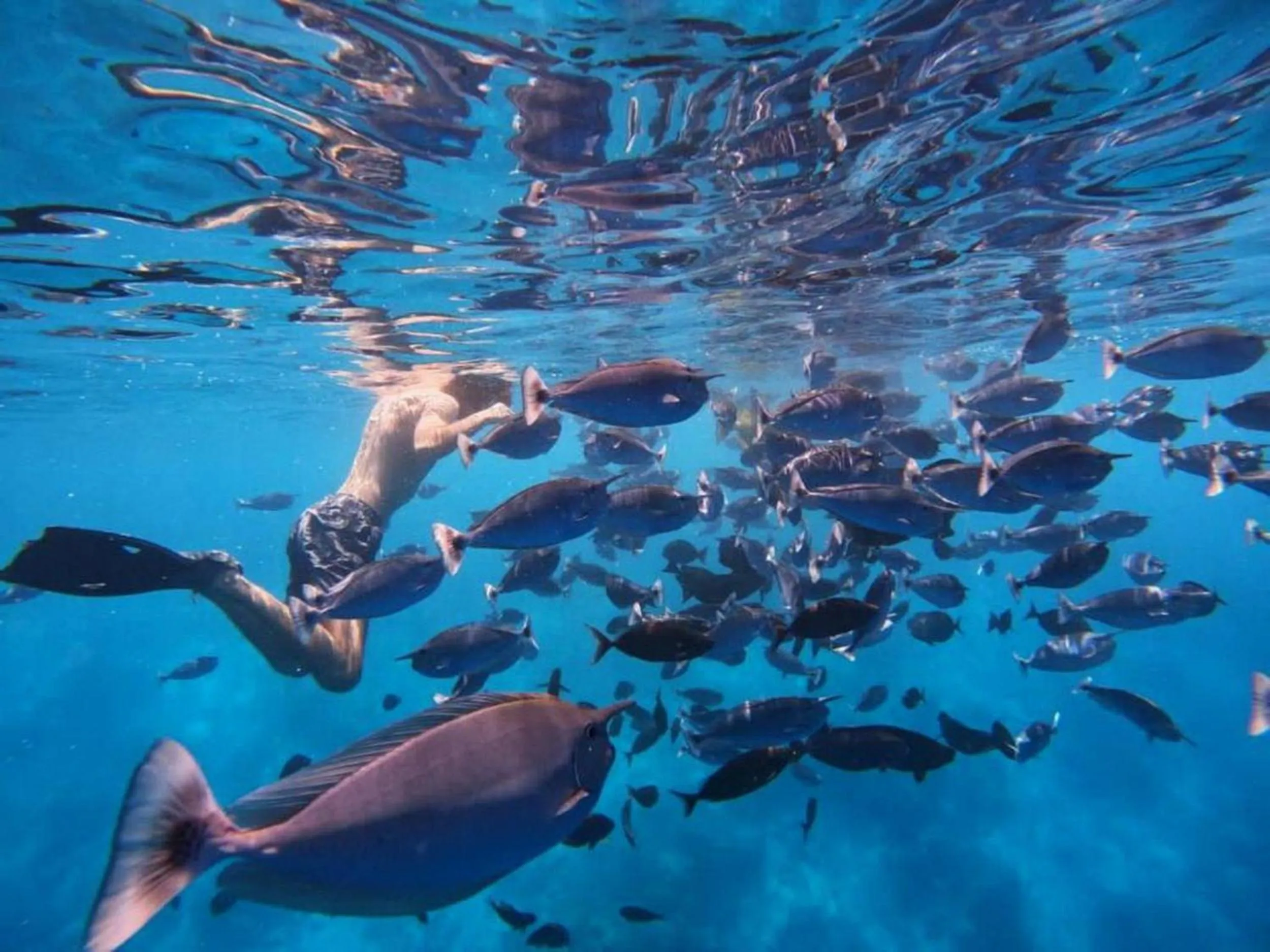 People in Adroit Beach Inn
