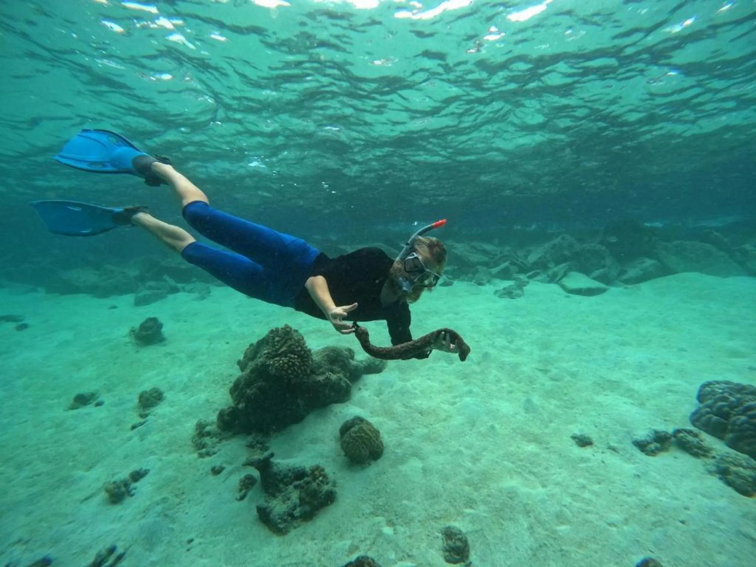 People in Adroit Beach Inn