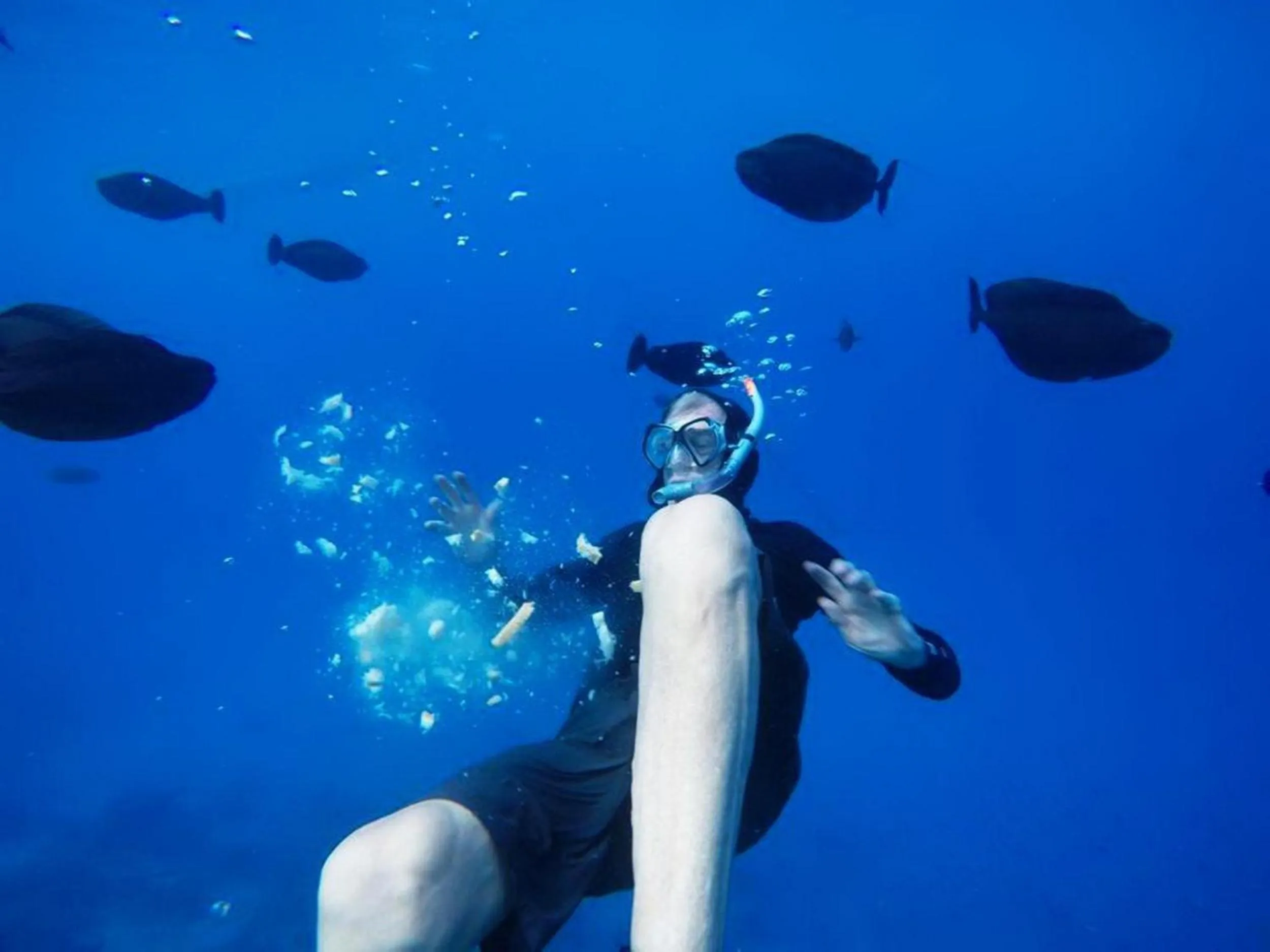 People in Adroit Beach Inn