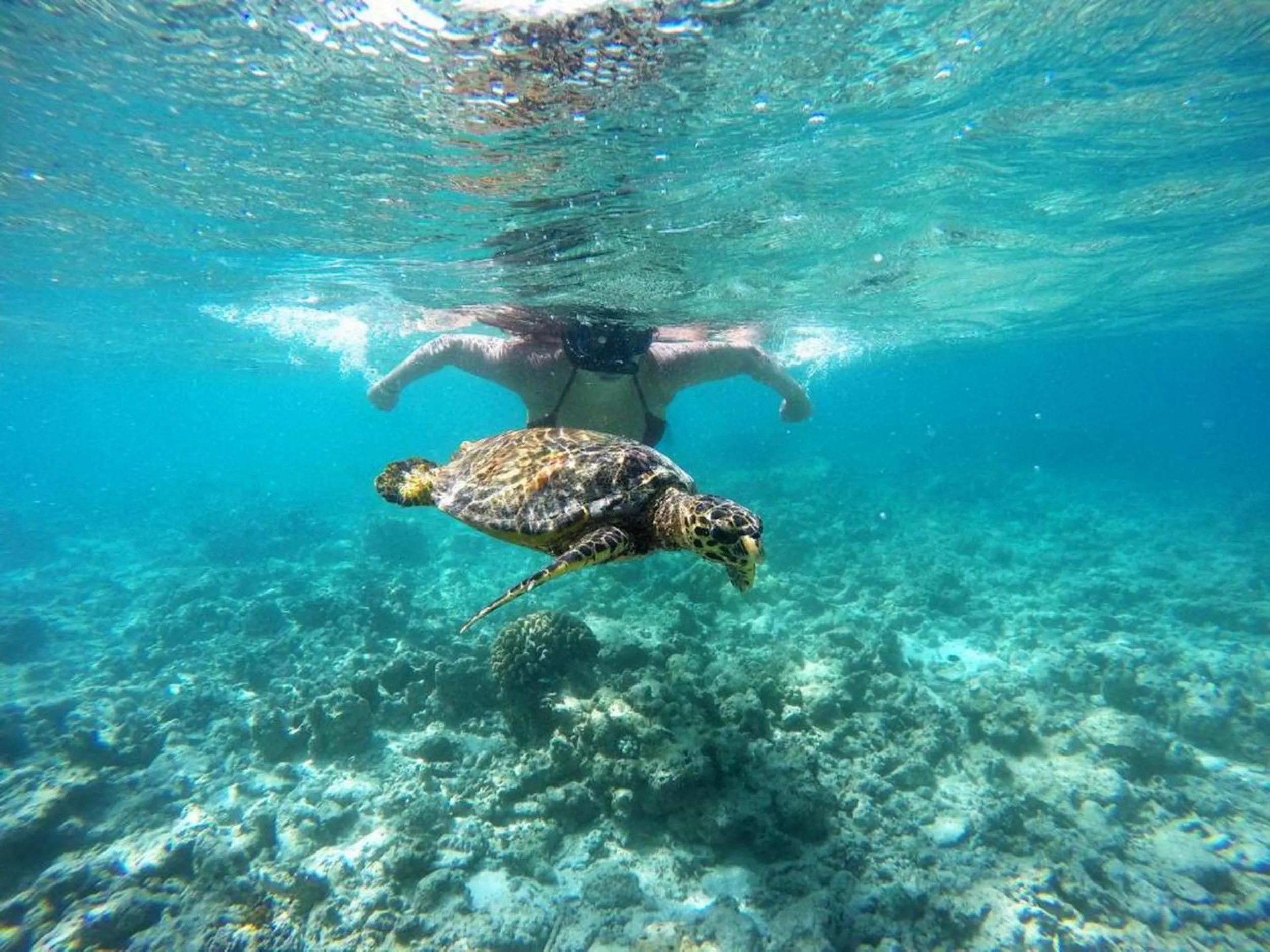 People in Adroit Beach Inn