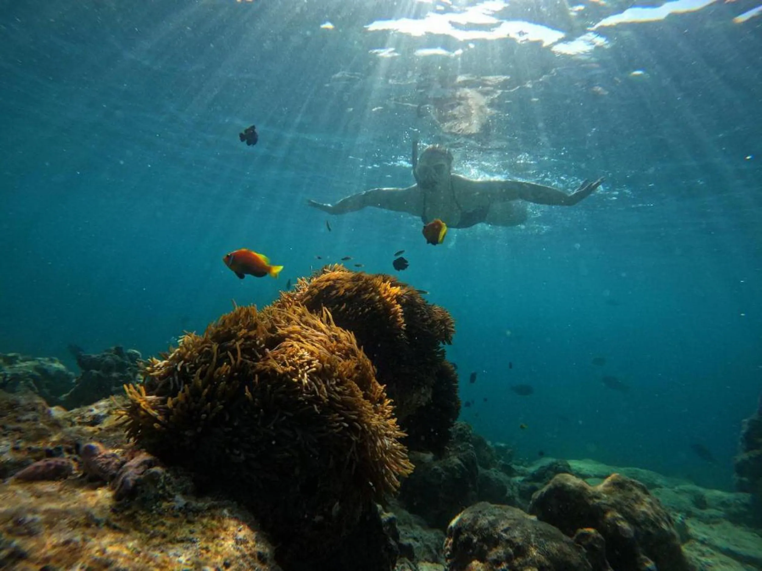 People in Adroit Beach Inn