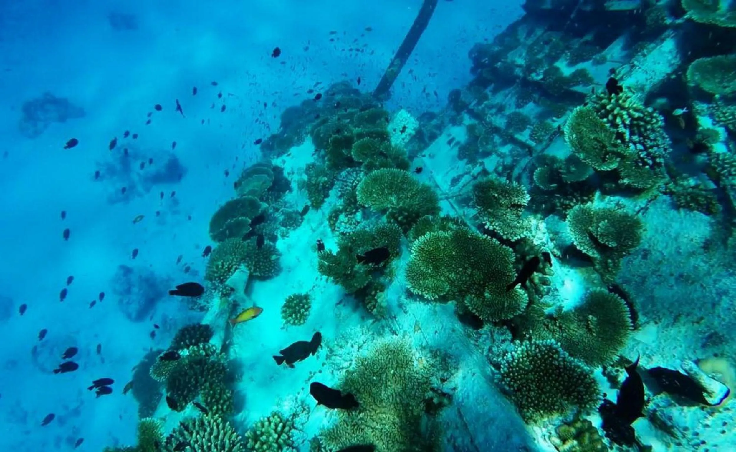 People in Adroit Beach Inn