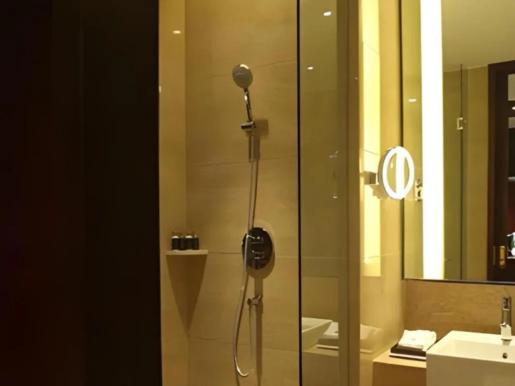 Zhengzhou Swan City International Hotel